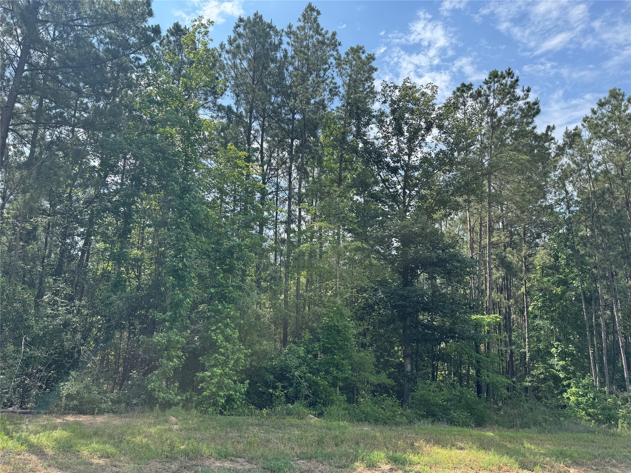 15810 Ridge Rock Road Property Photo 2