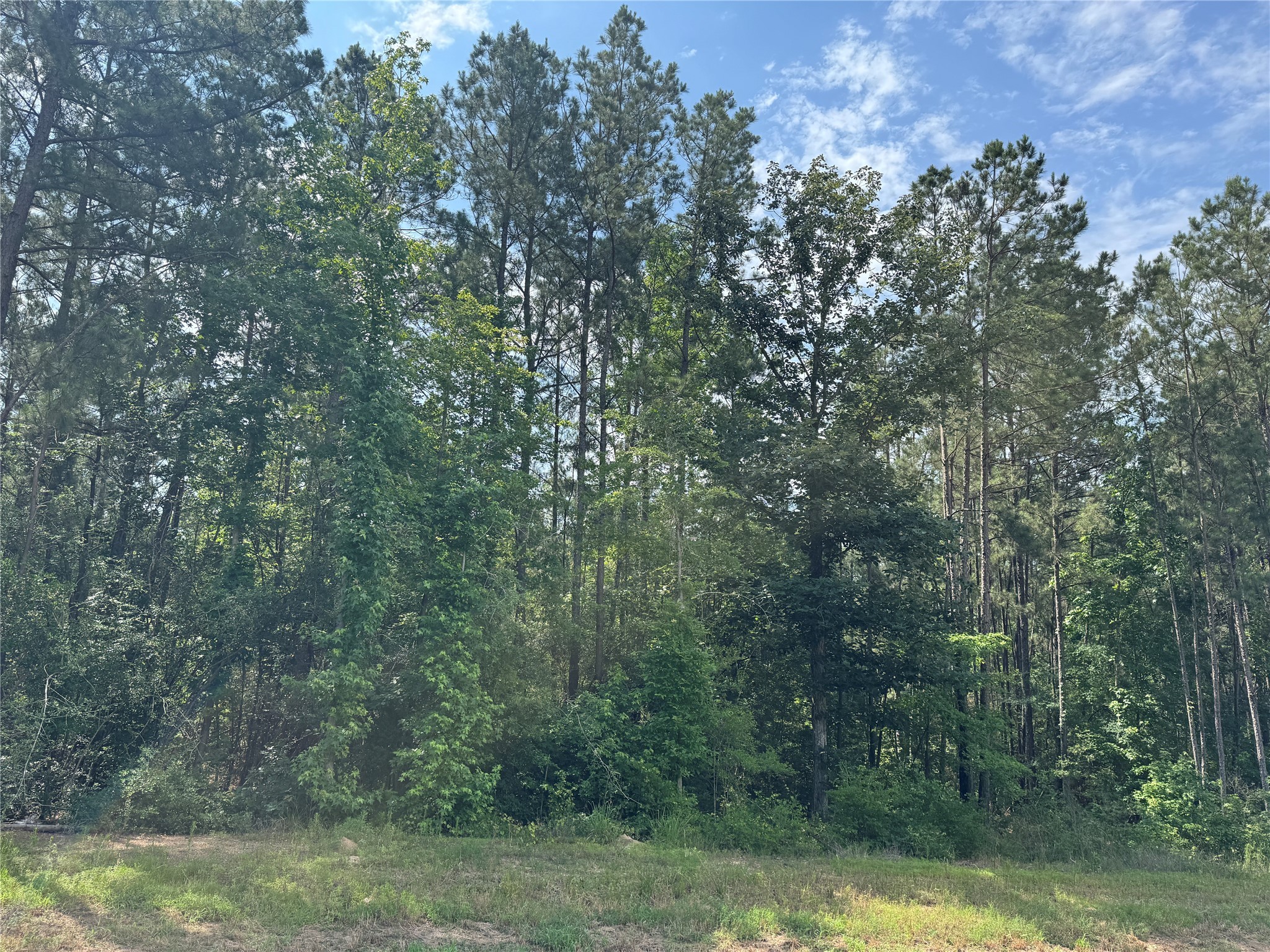 15810 Ridge Rock Road Property Photo 3