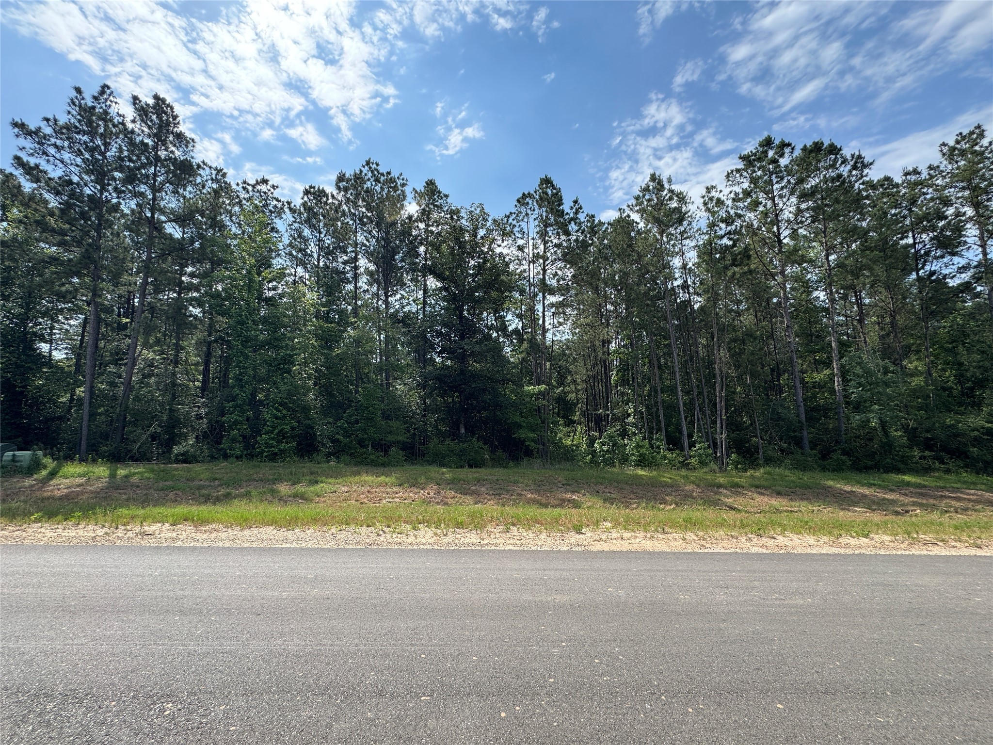 15810 Ridge Rock Road Property Photo 4