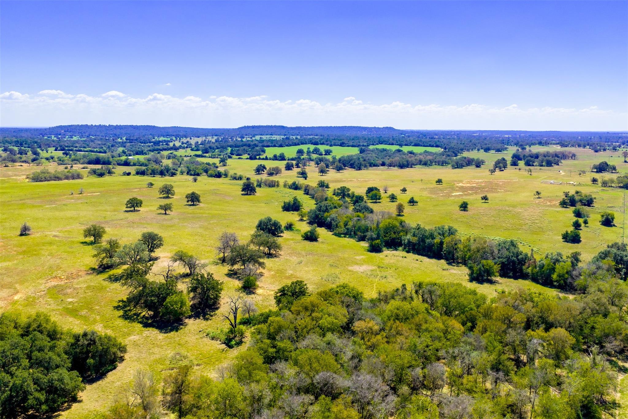 0 Tenney Creek Road, Luling Tx 78648 Property Photo 1