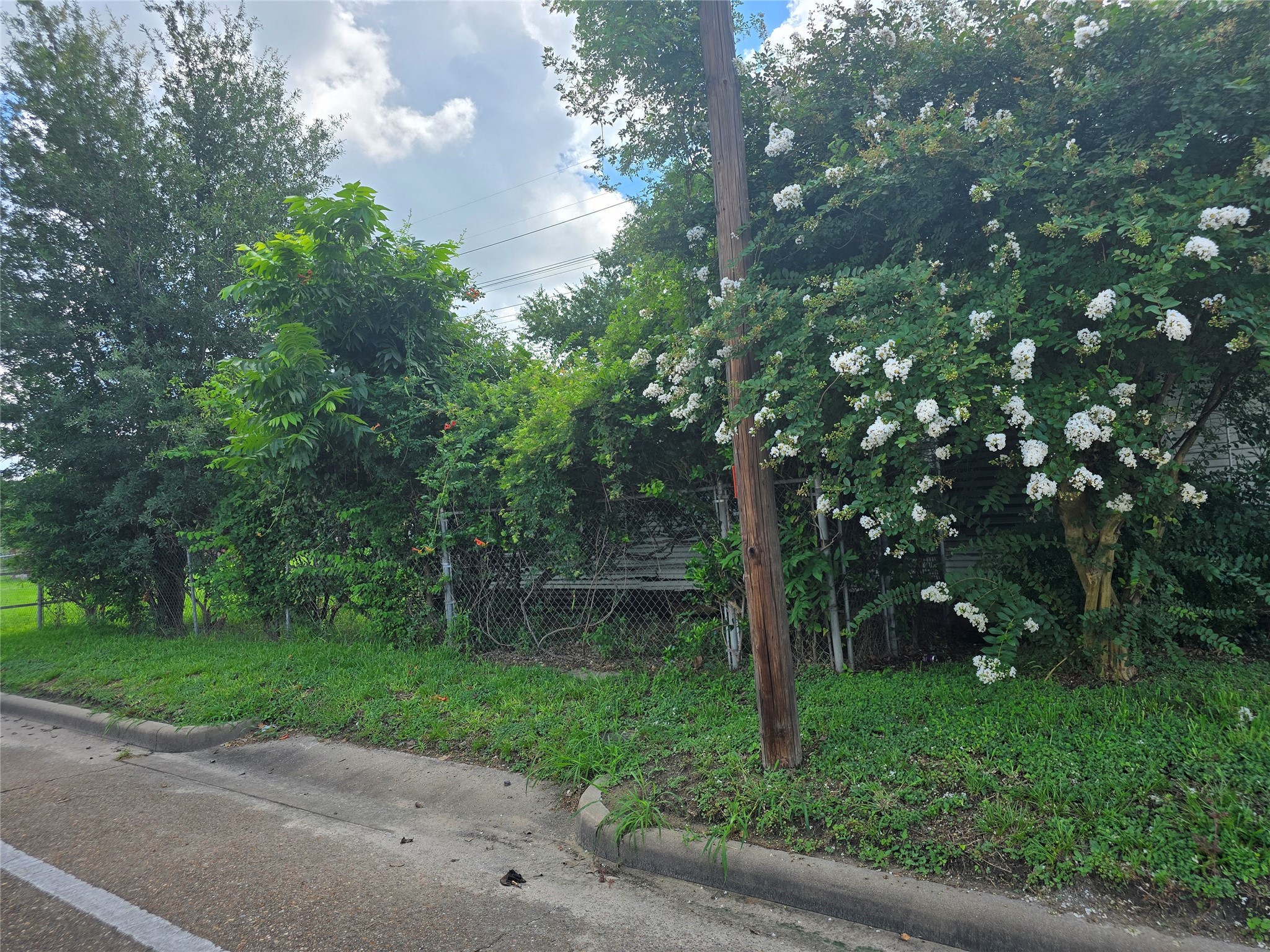 1601 Malvern Street Property Photo 2