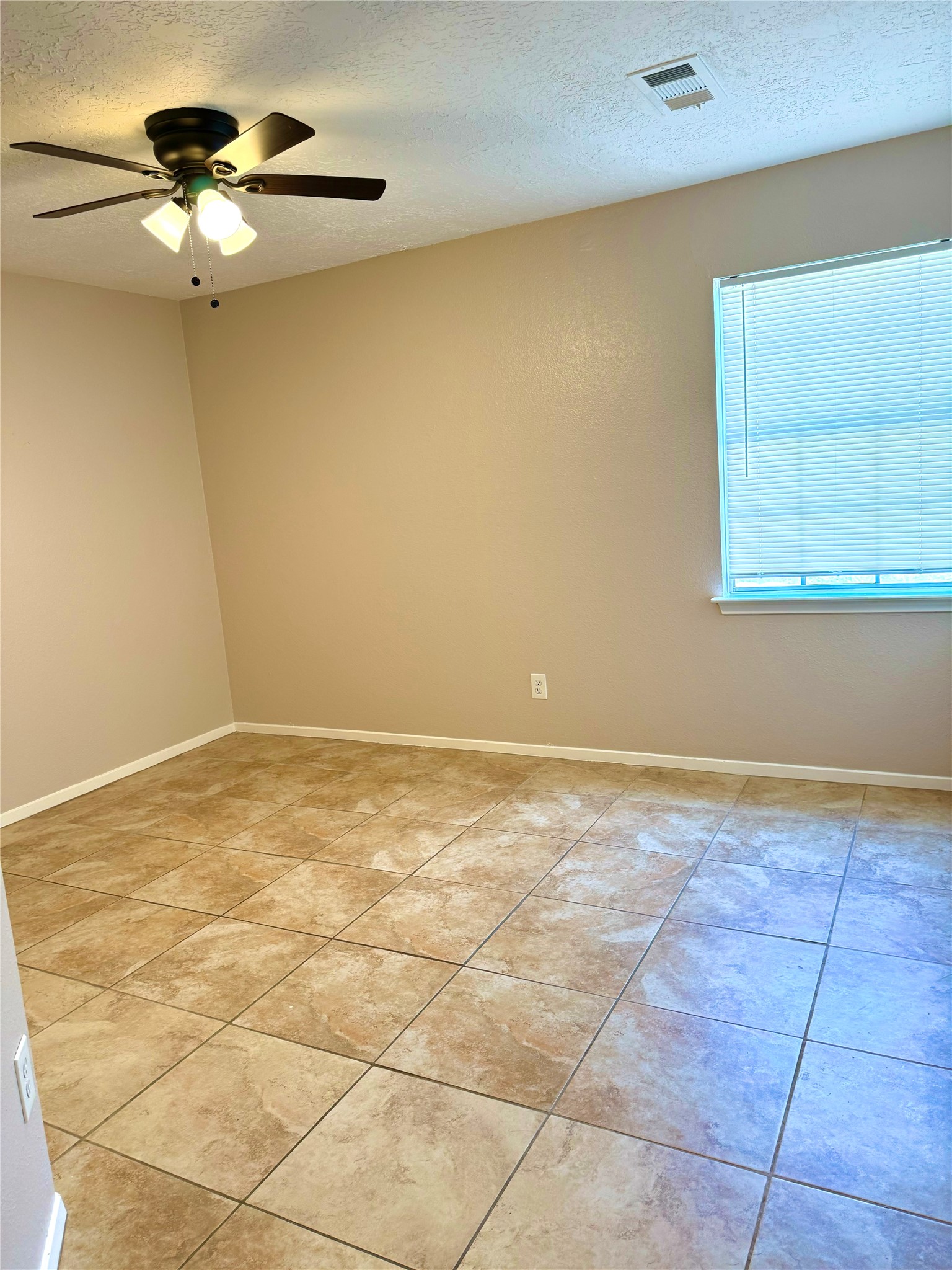 16819 Red Gully Drive Property Photo 8
