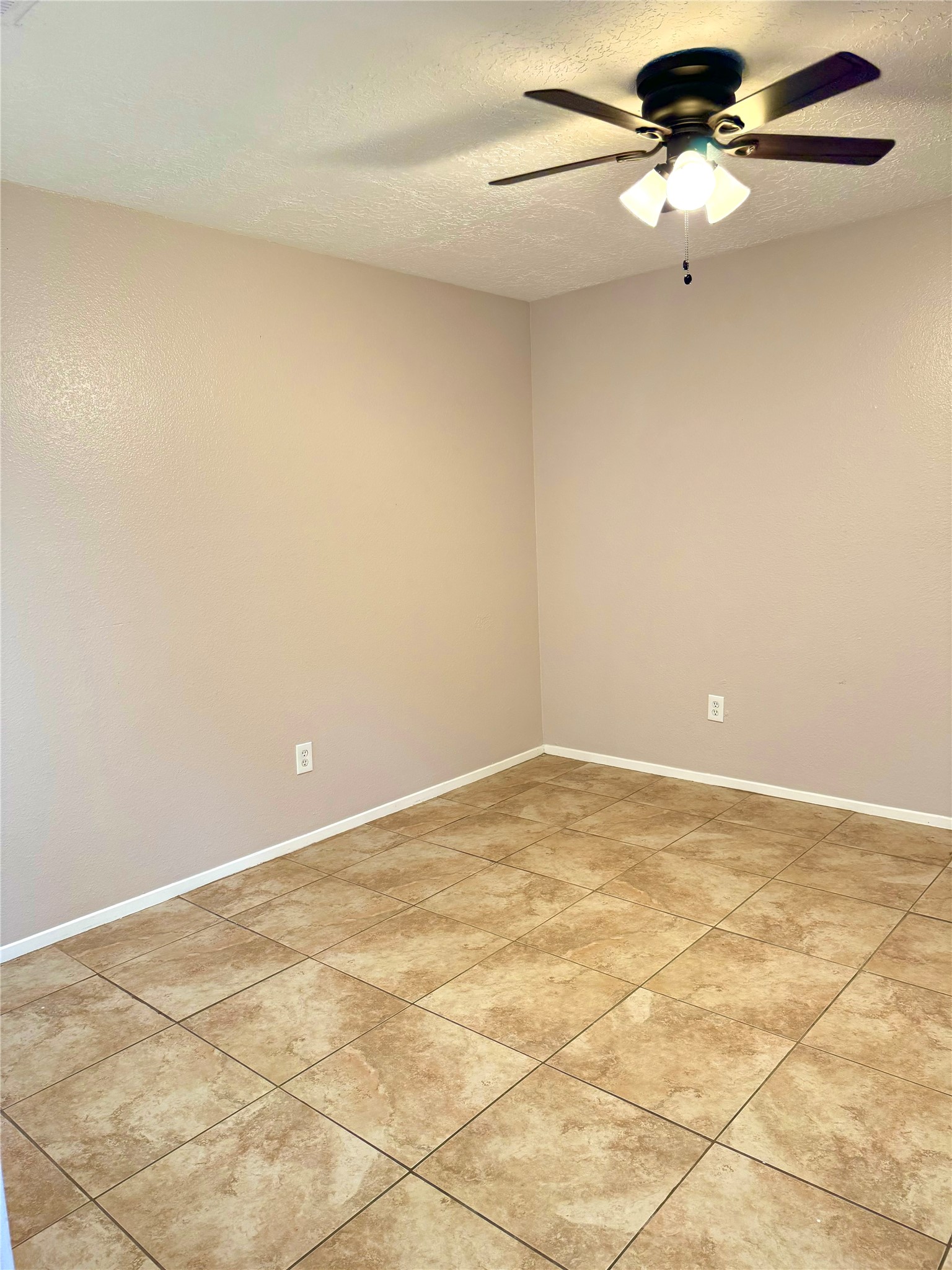 16819 Red Gully Drive Property Photo 12