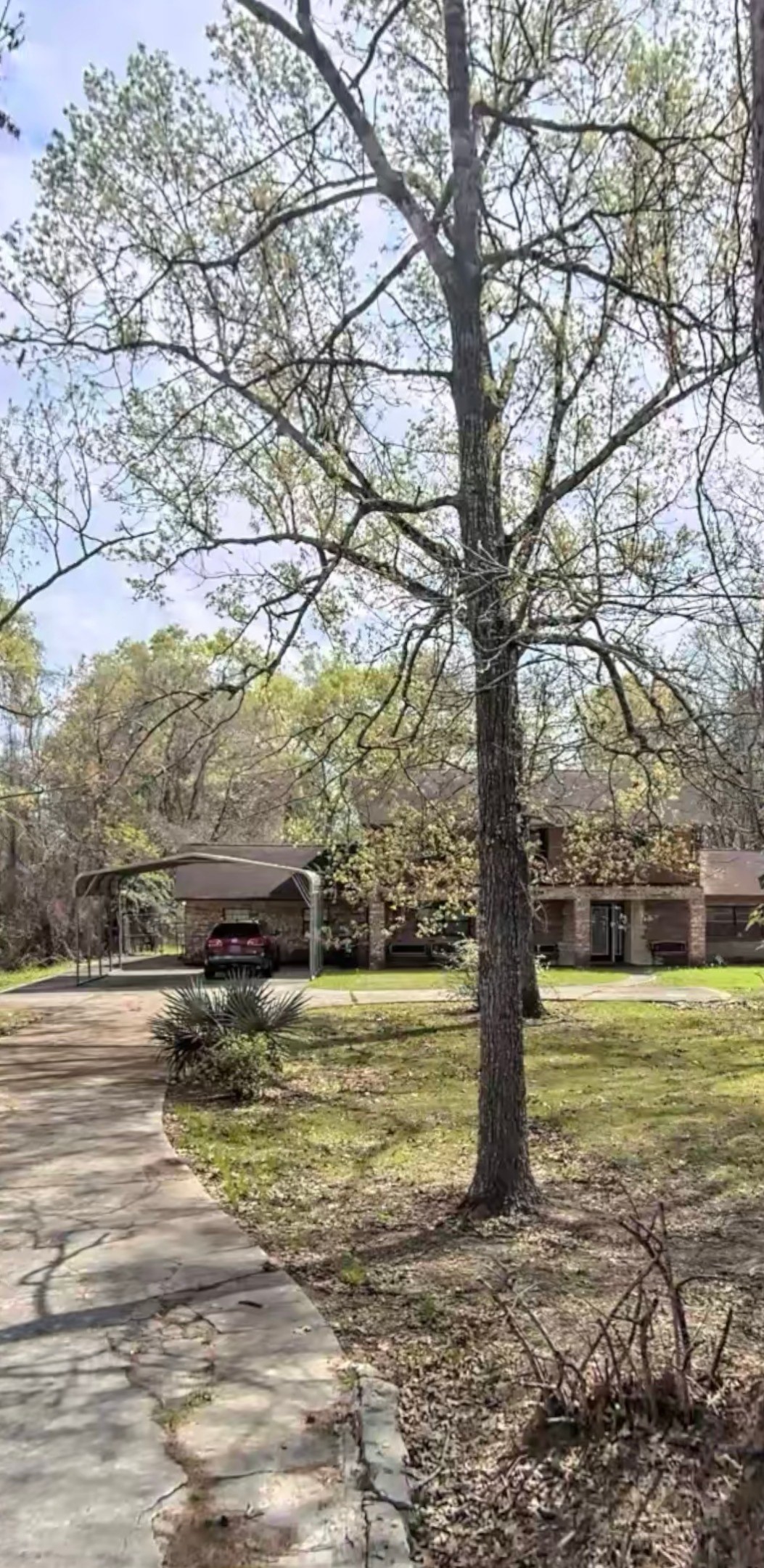 5335 Pine Burr Boulevard Property Photo 1