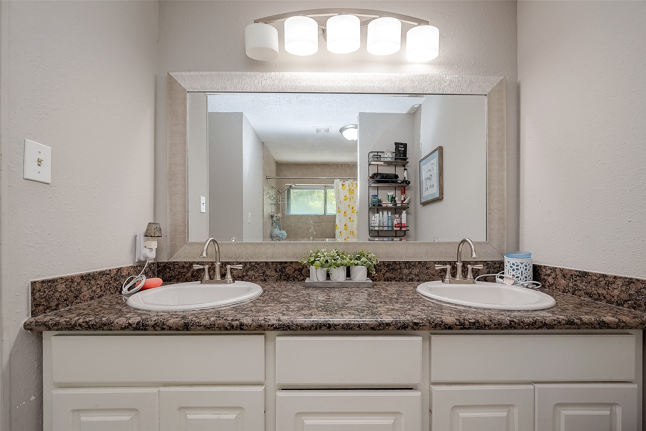 8619 Quail Burg Lane Property Photo 11