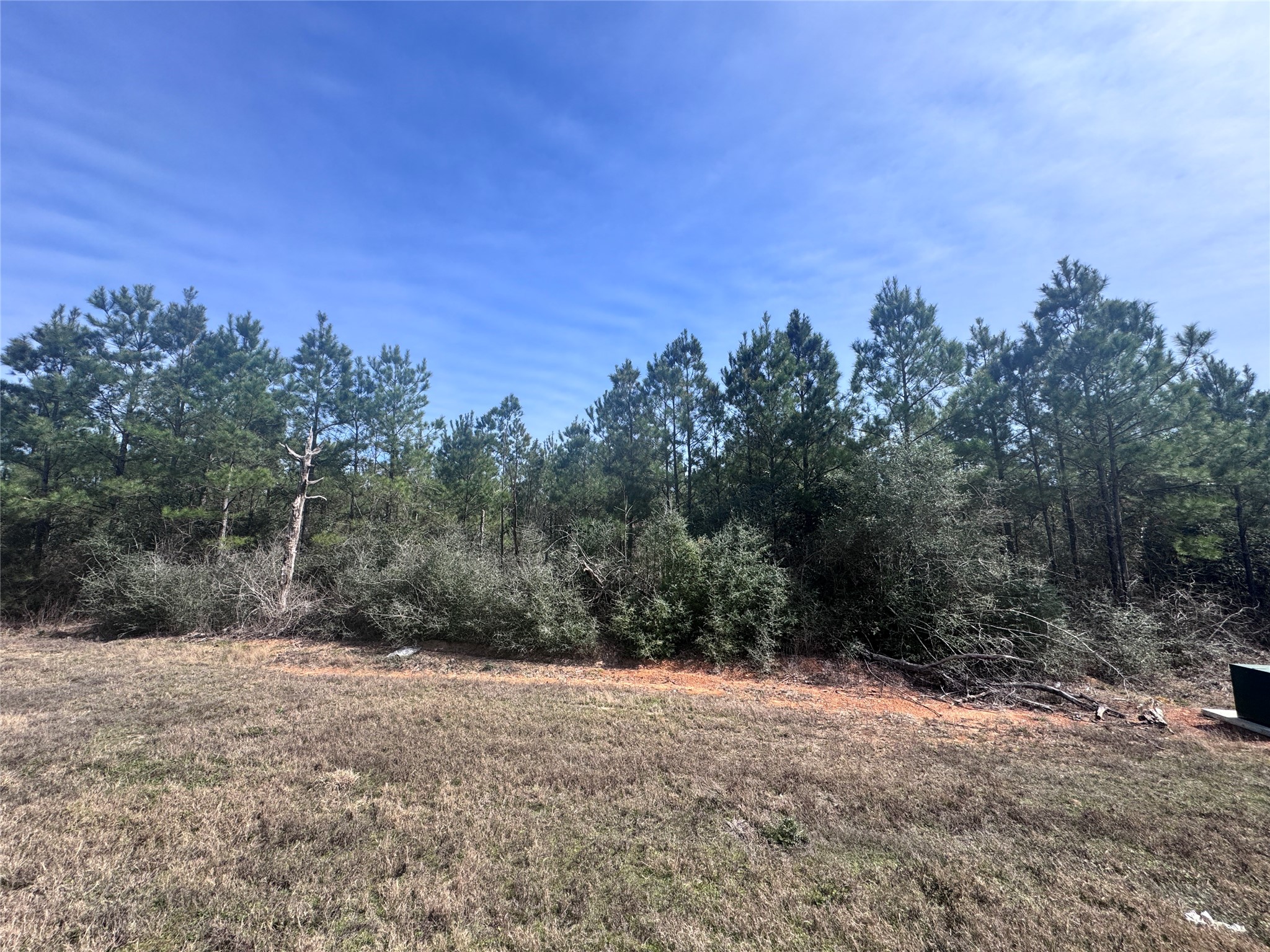 15584 Forest Grove Drive Property Photo 3