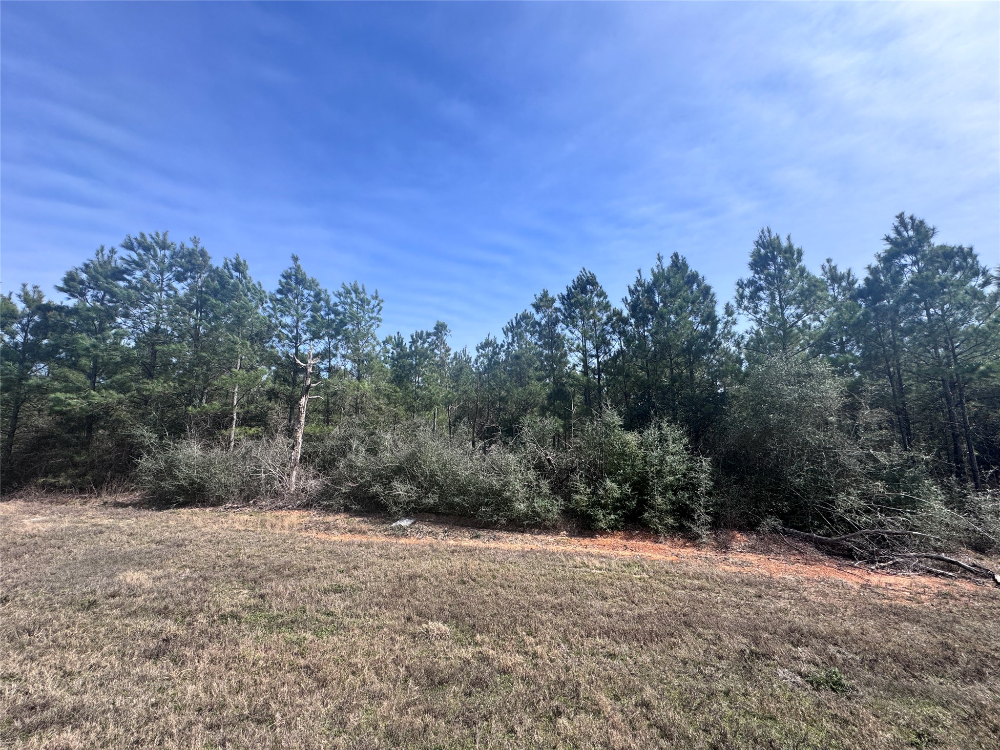15584 Forest Grove Drive Property Photo 4
