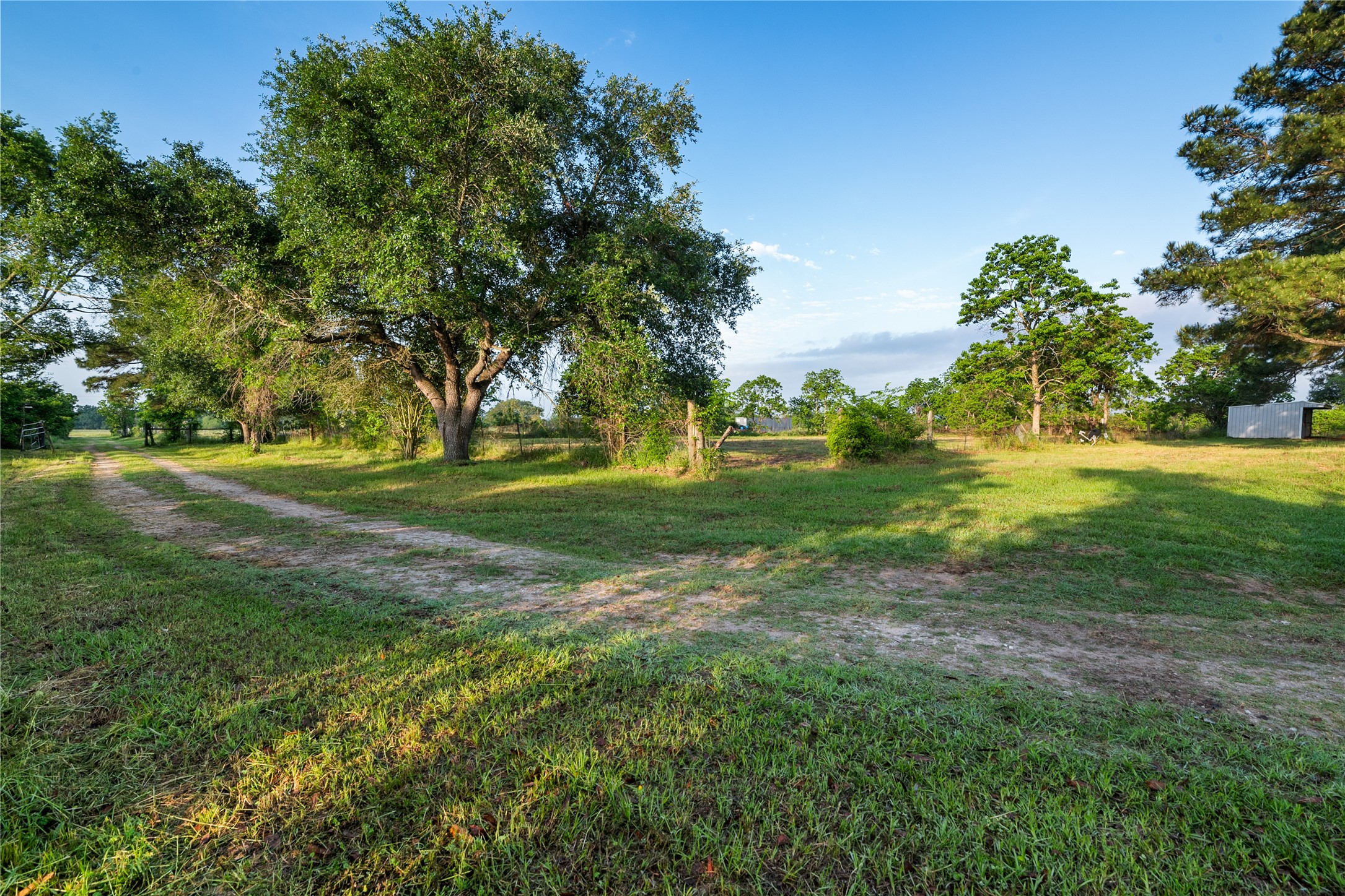 36622 Tompkins Road Property Photo 4