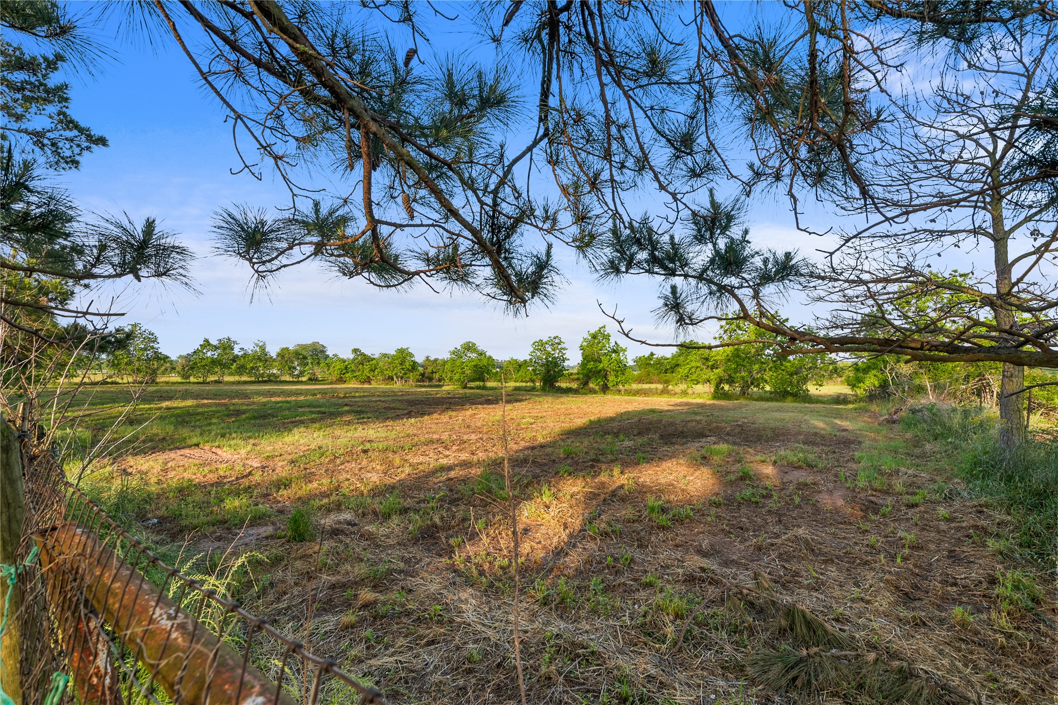 36622 Tompkins Road Property Photo 11
