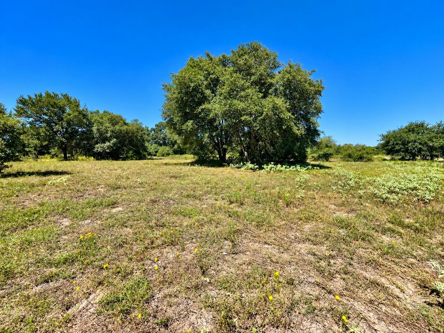 Tbd County Road 132 Property Photo 3