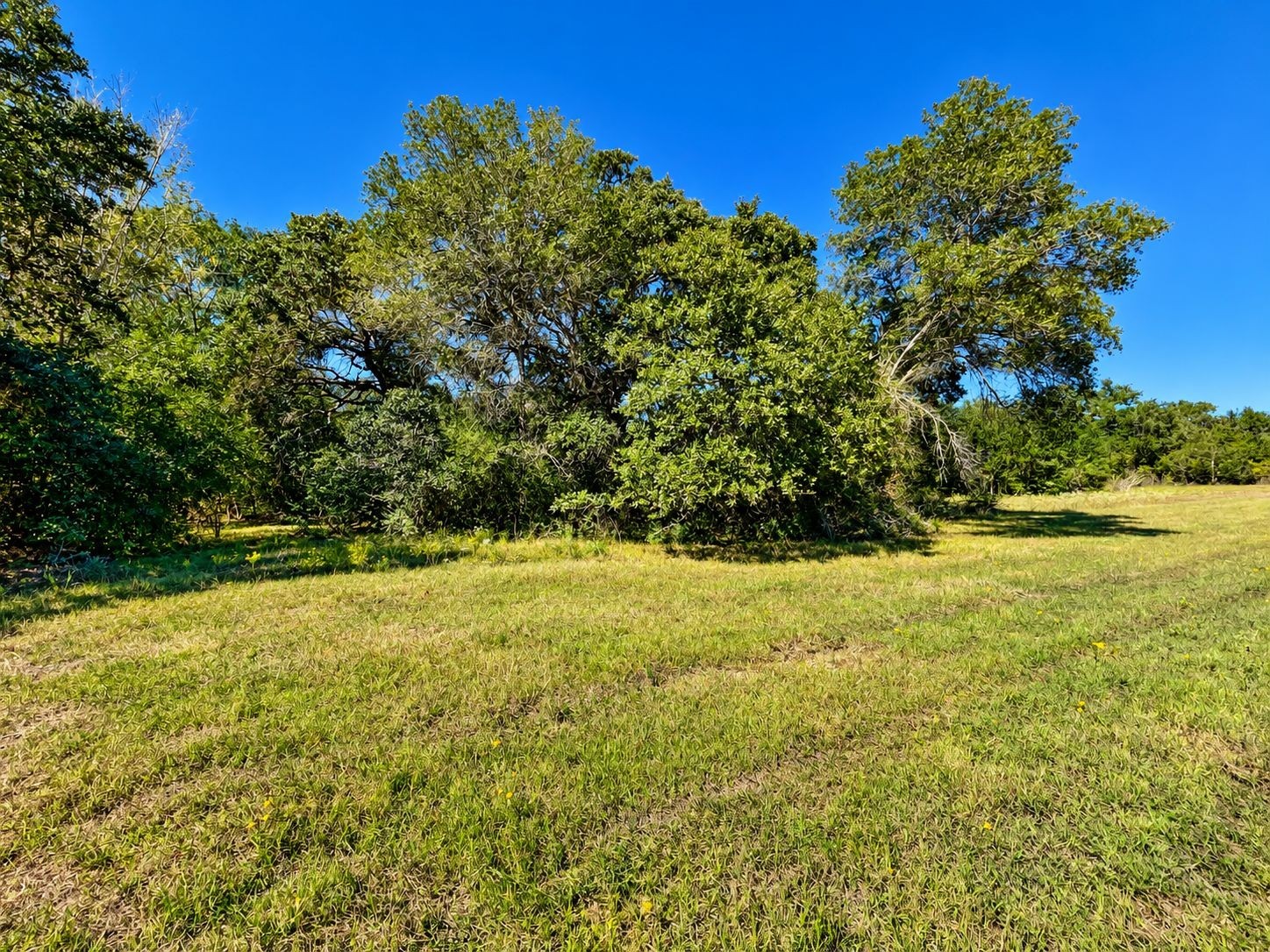 Tbd County Road 132 Property Photo 6
