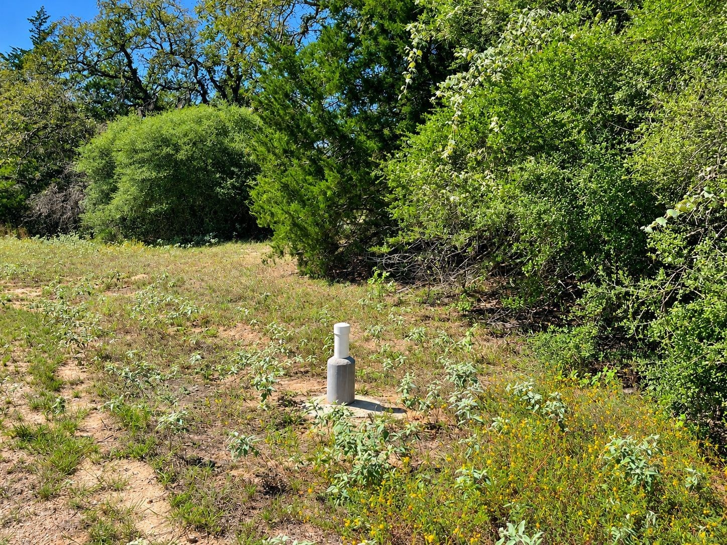 Tbd County Road 132 Property Photo 13