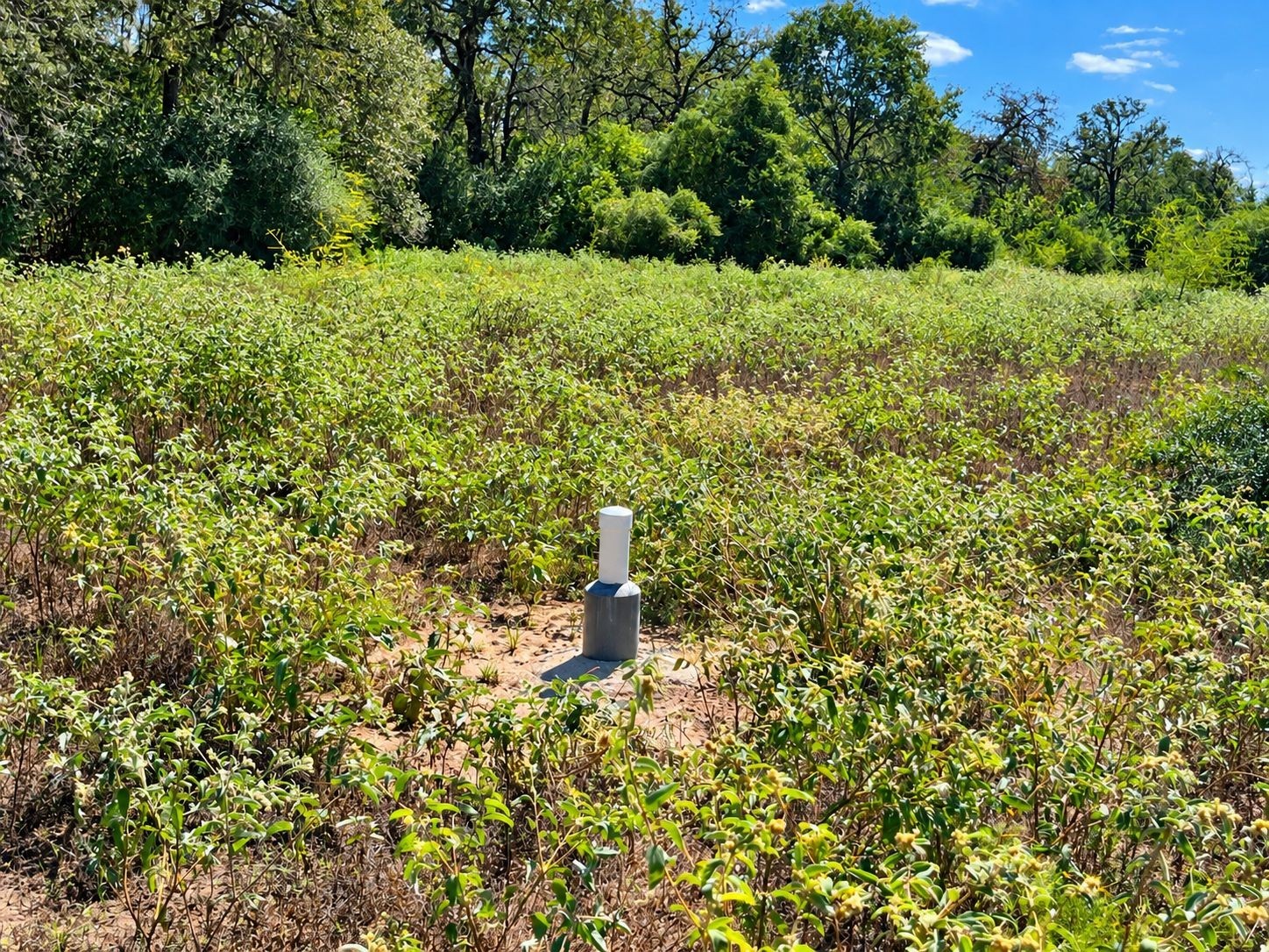 Tbd County Road 132 Property Photo 14