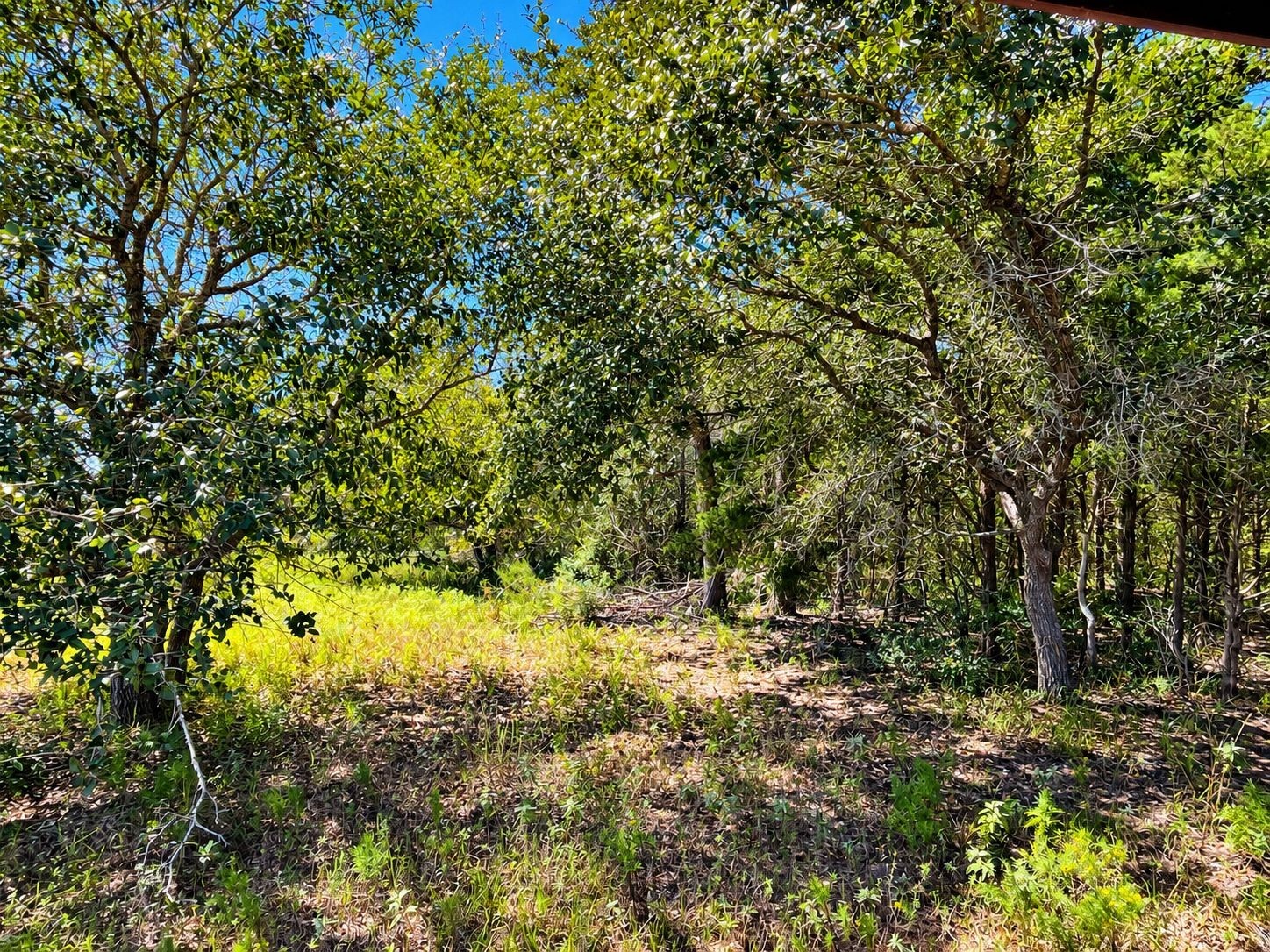 Tbd County Road 132 Property Photo 15