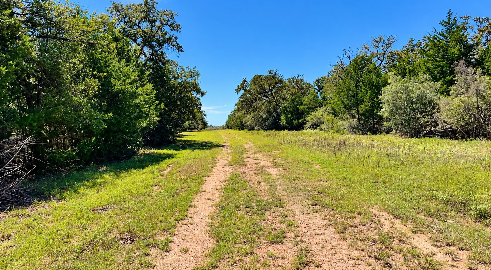 Tbd County Road 132 Property Photo 16