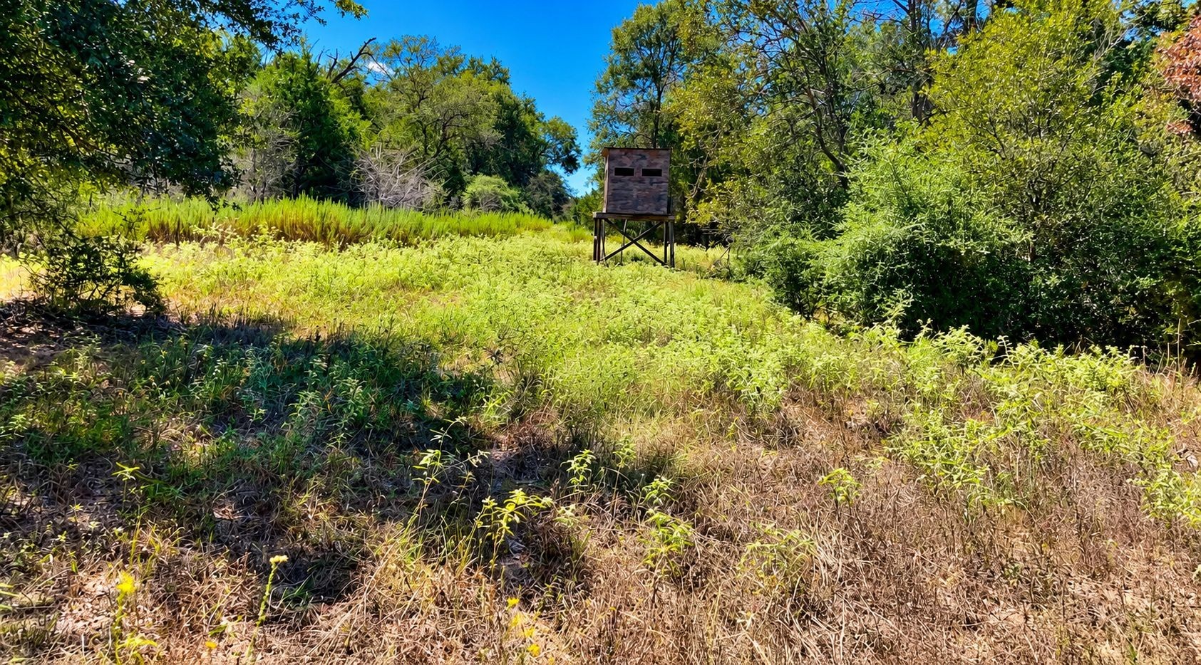 Tbd County Road 132 Property Photo 17