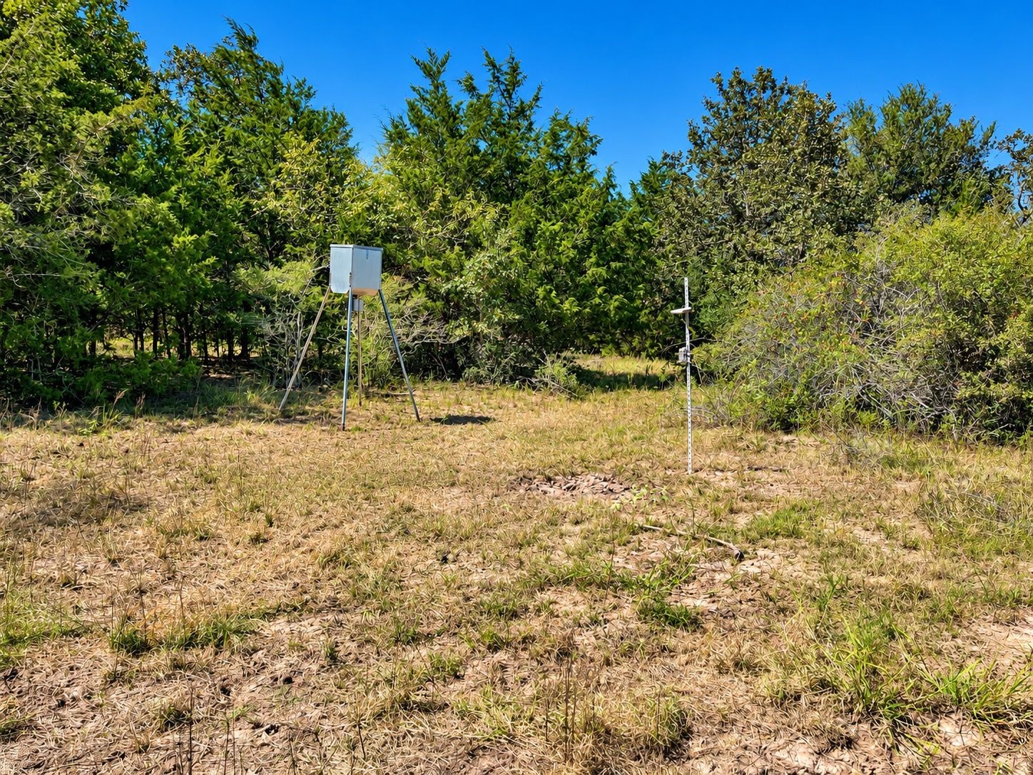 Tbd County Road 132 Property Photo 18