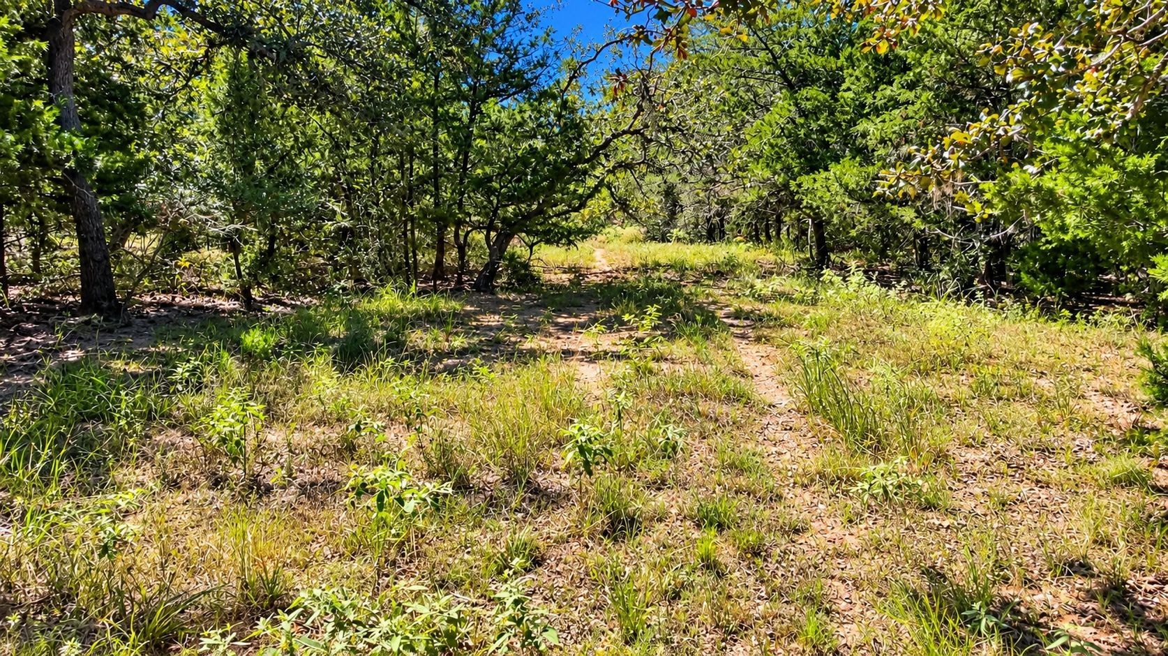 Tbd County Road 132 Property Photo 19