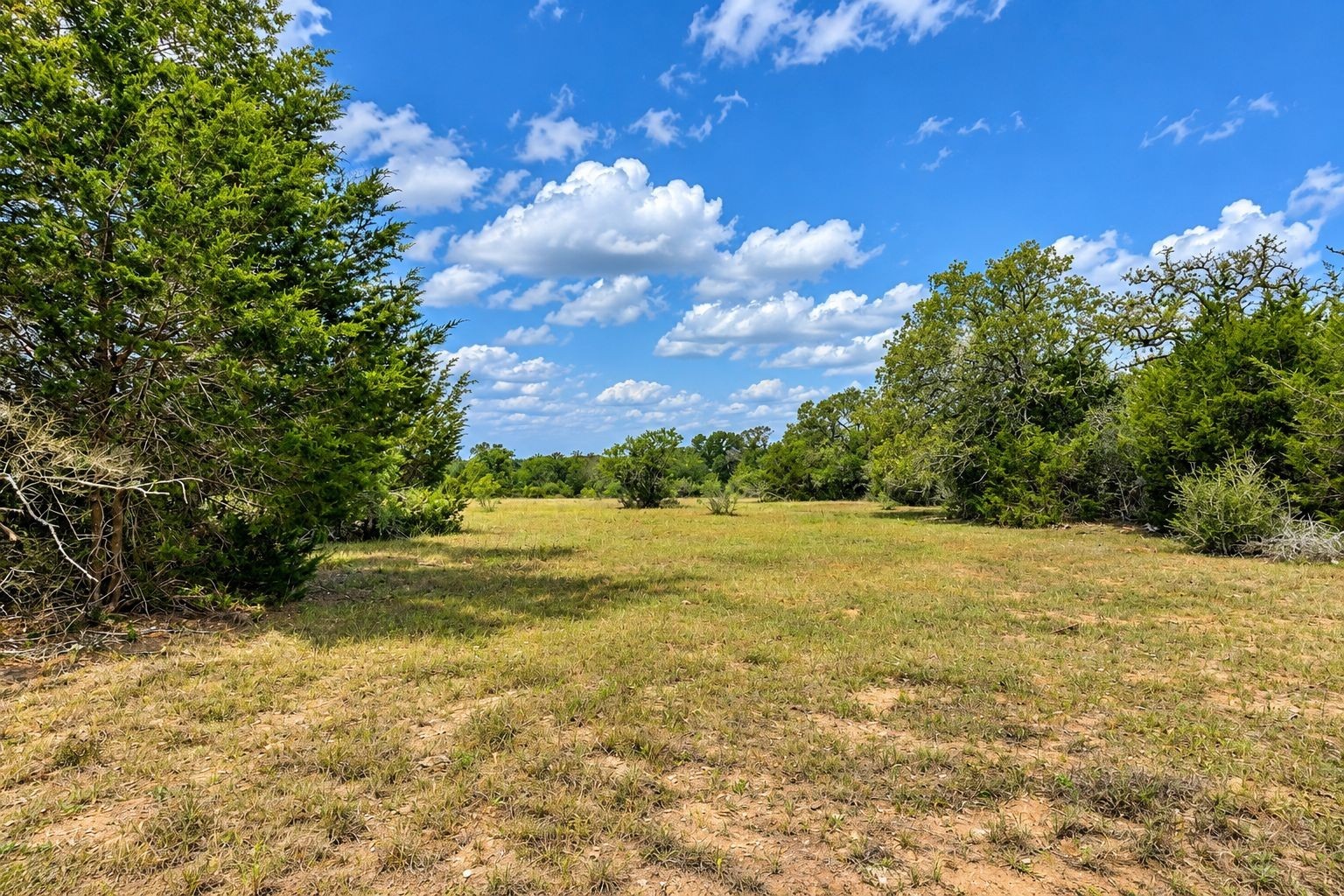 Tbd County Road 132 Property Photo 20