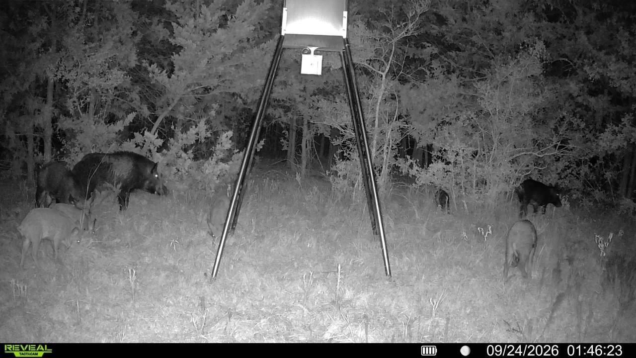 Tbd County Road 132 Property Photo 32