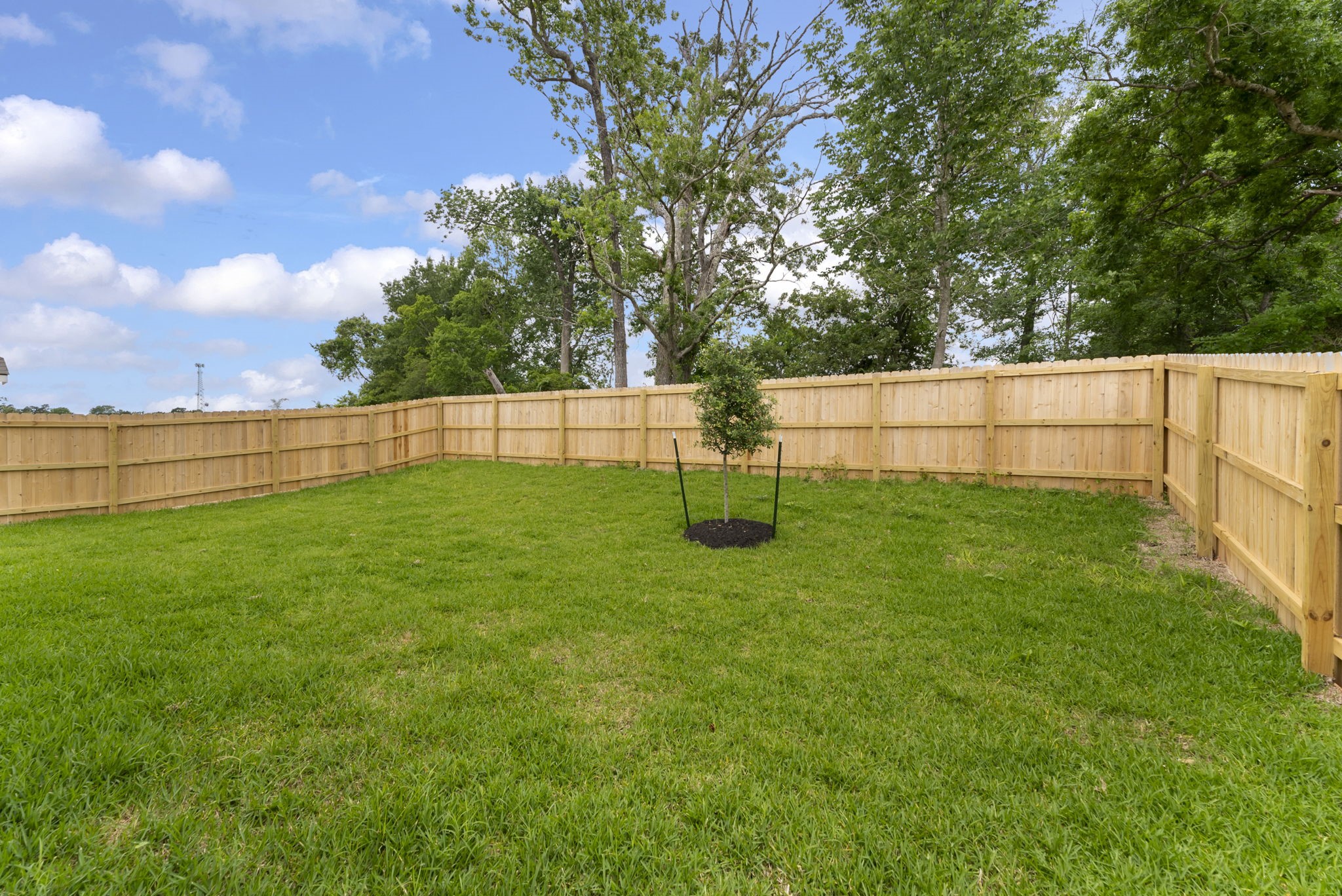 307 Rockbridge Drive Property Photo 43