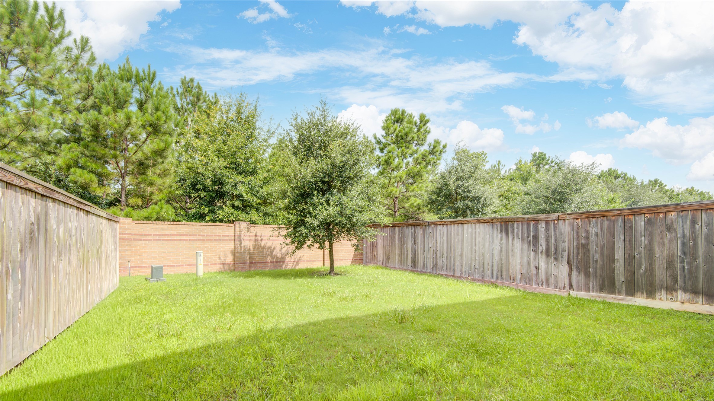 16207 Northern Cardinal Lane Property Photo 44