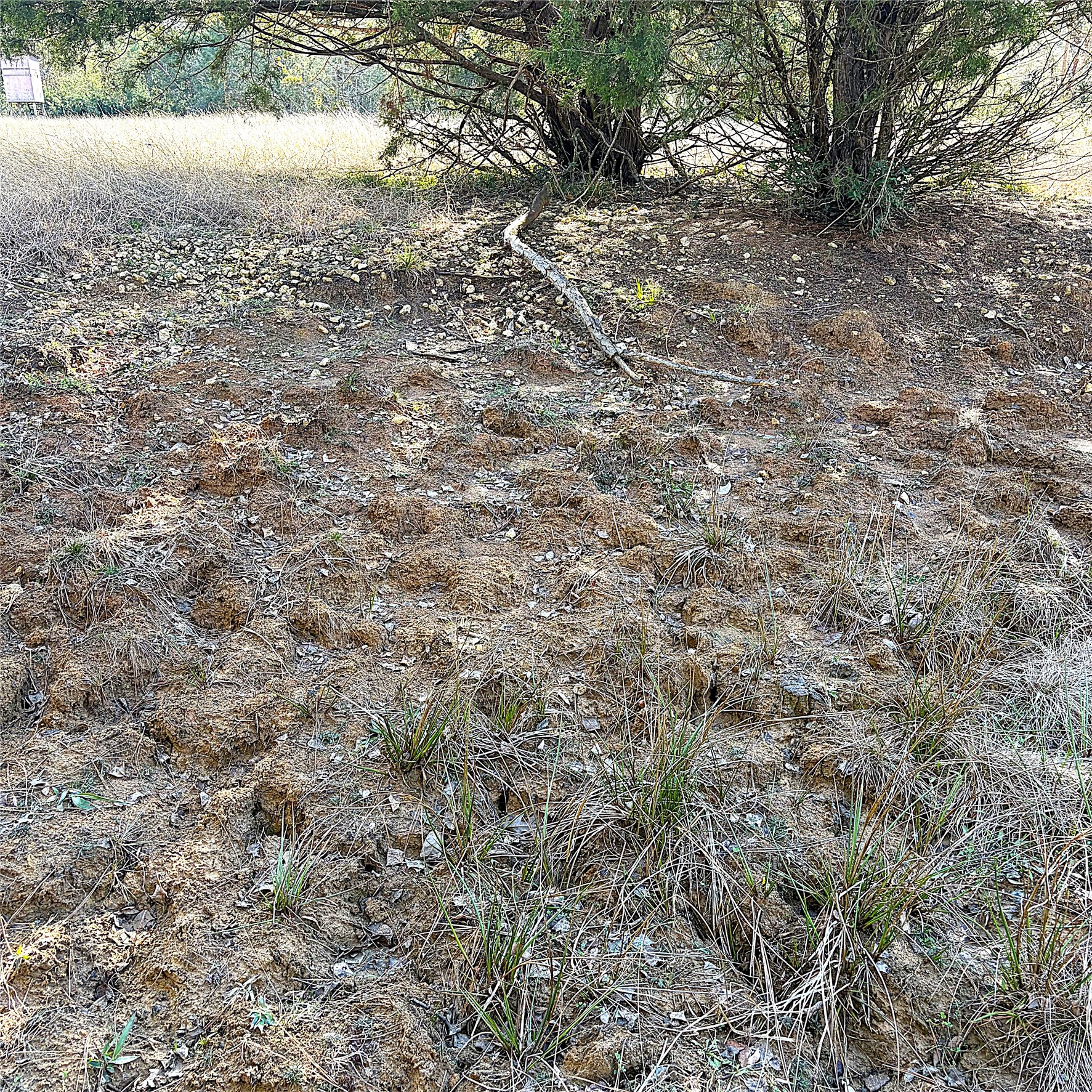 00000 Cr 102 Property Photo 9