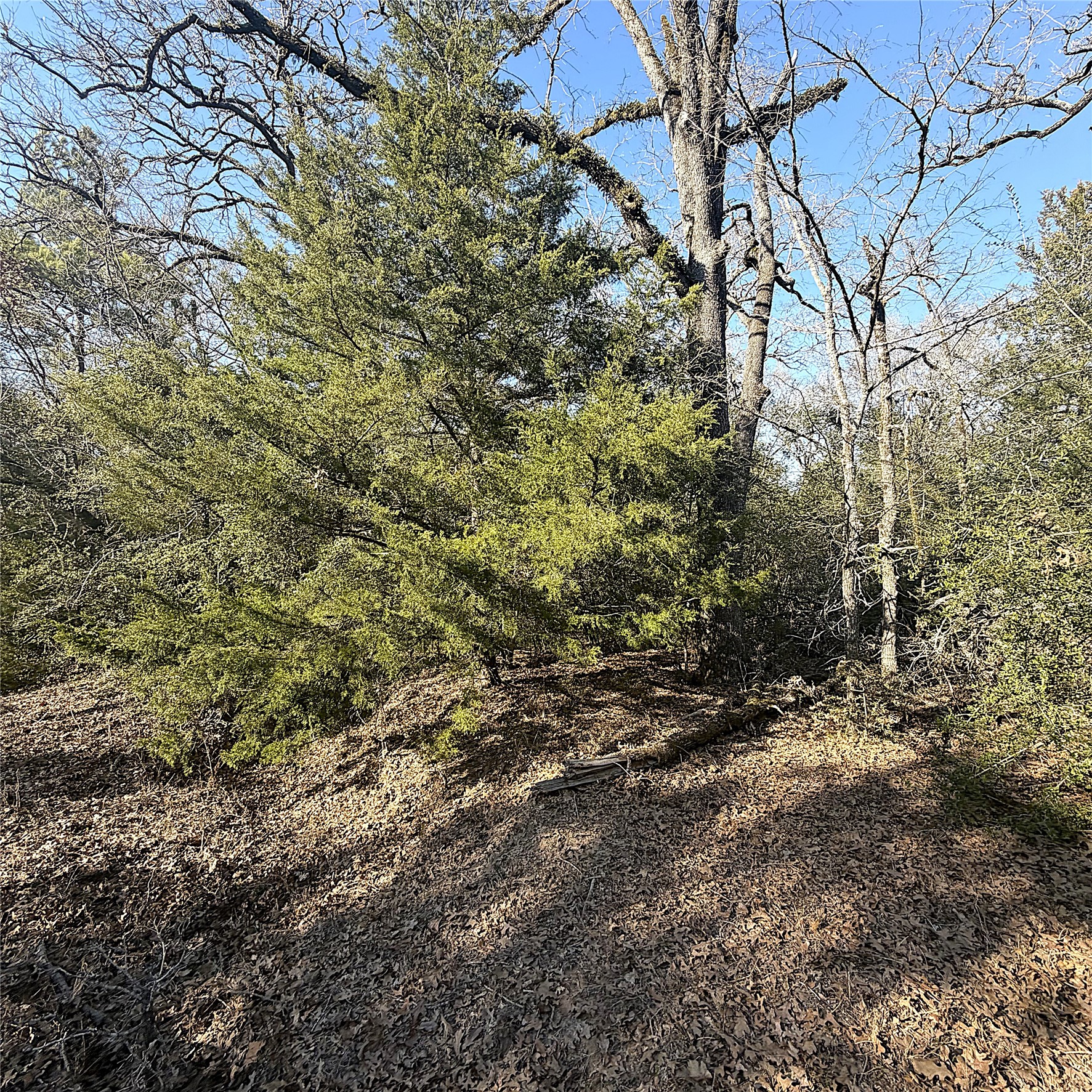 00000 Cr 102 Property Photo 12