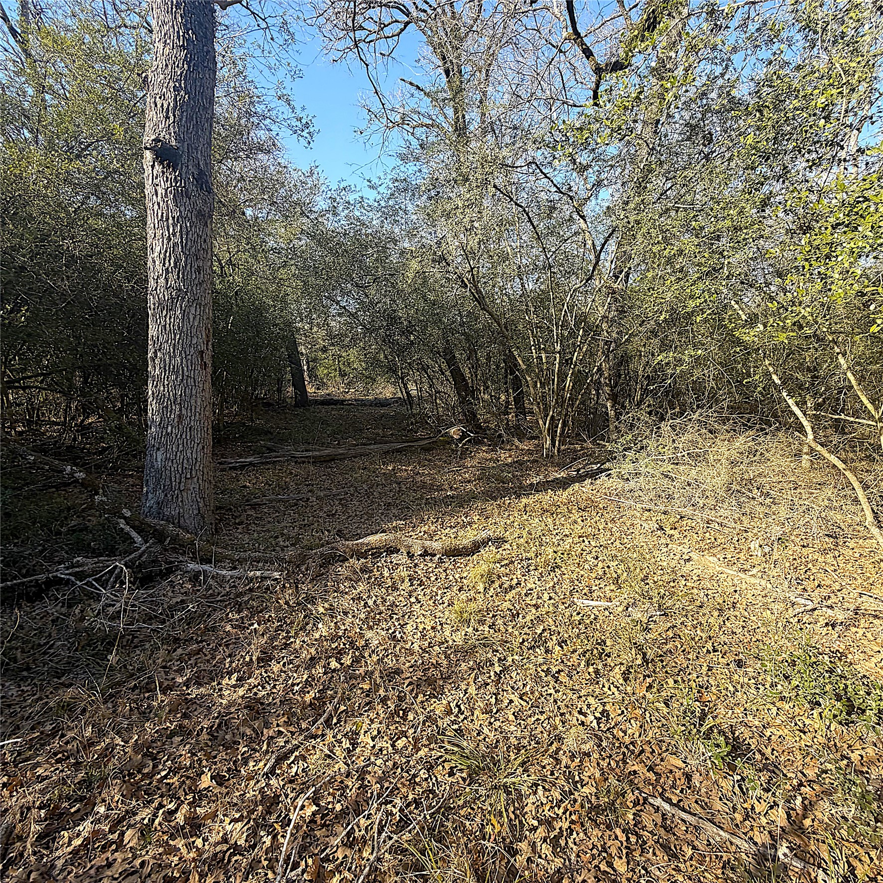 00000 Cr 102 Property Photo 13