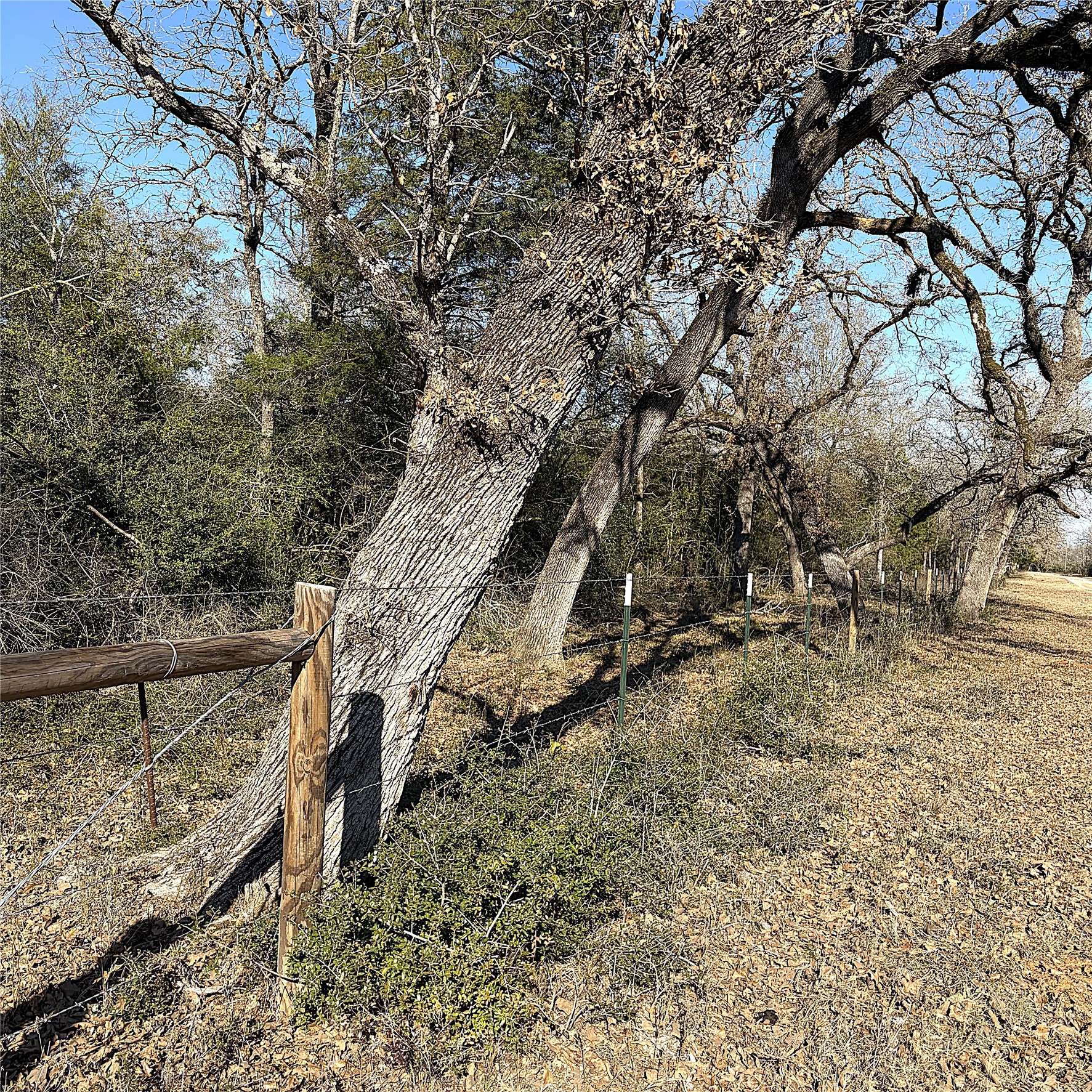 00000 Cr 102 Property Photo 16