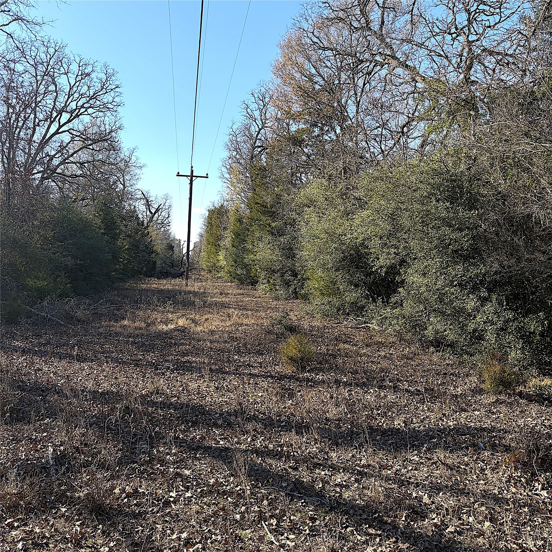 00000 Cr 102 Property Photo 17