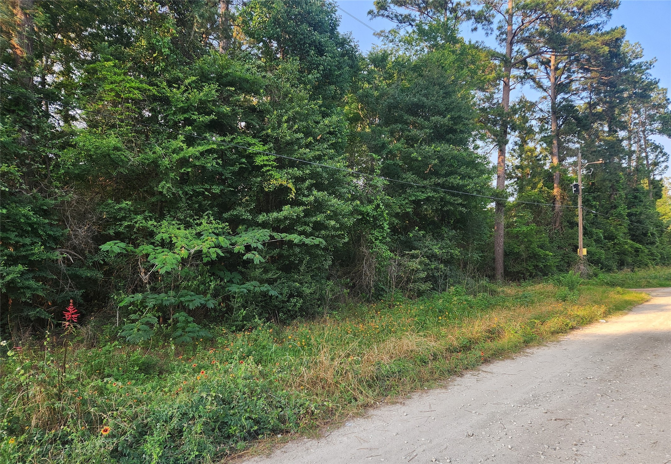 Lot 15 Weeping Willow Lane Property Photo 1