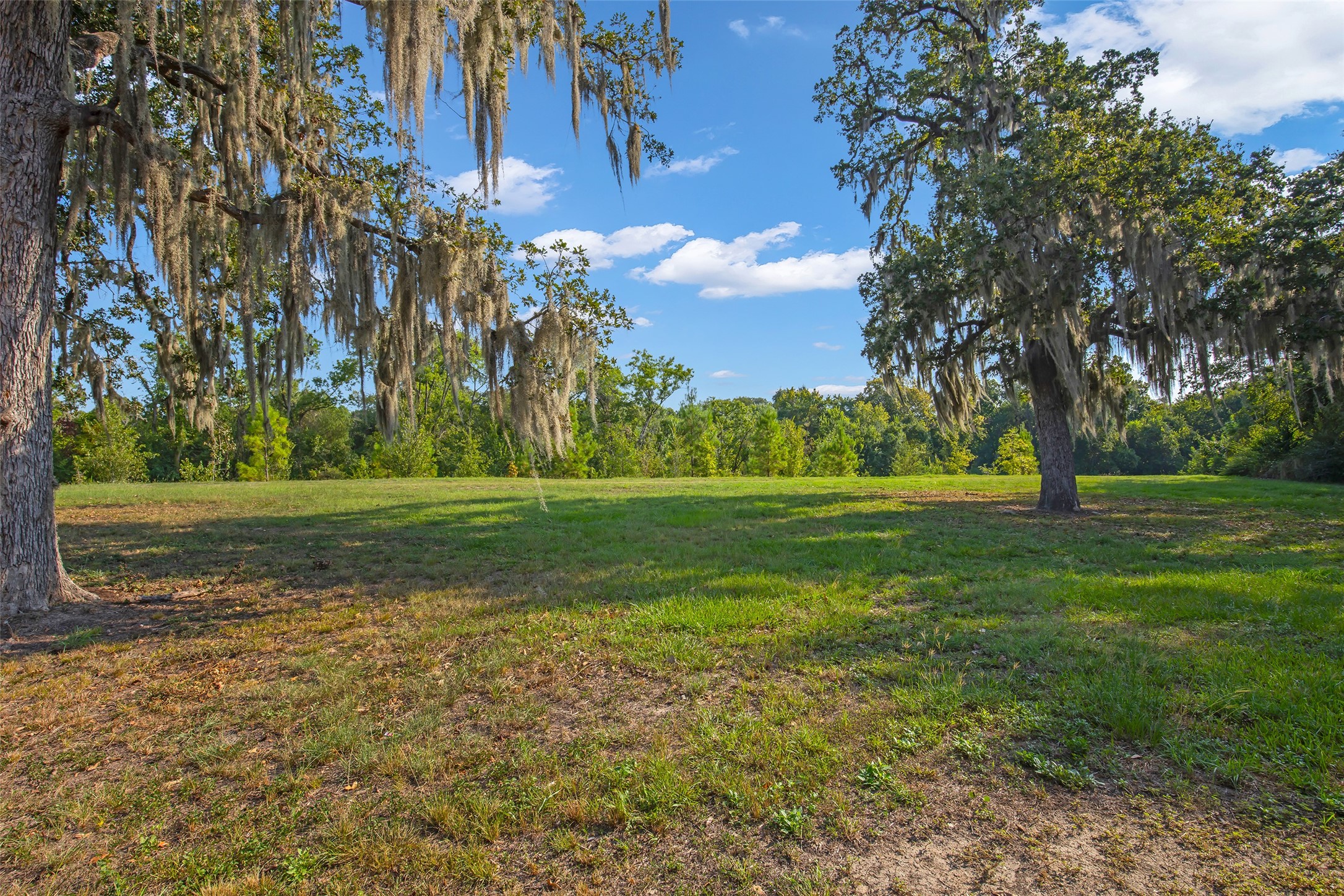 12852 Kingsbridge Lane Property Photo 39