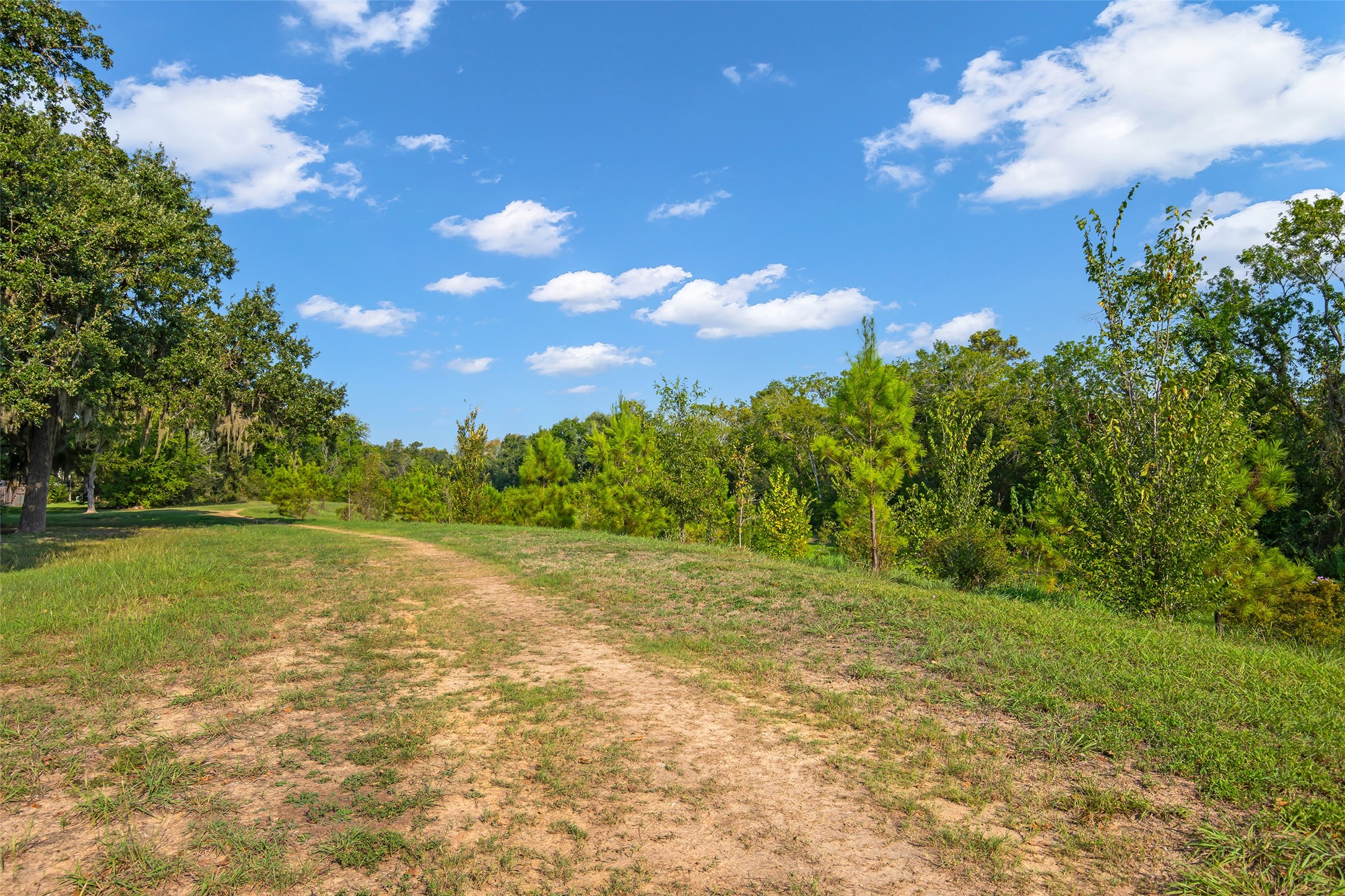 12852 Kingsbridge Lane Property Photo 41
