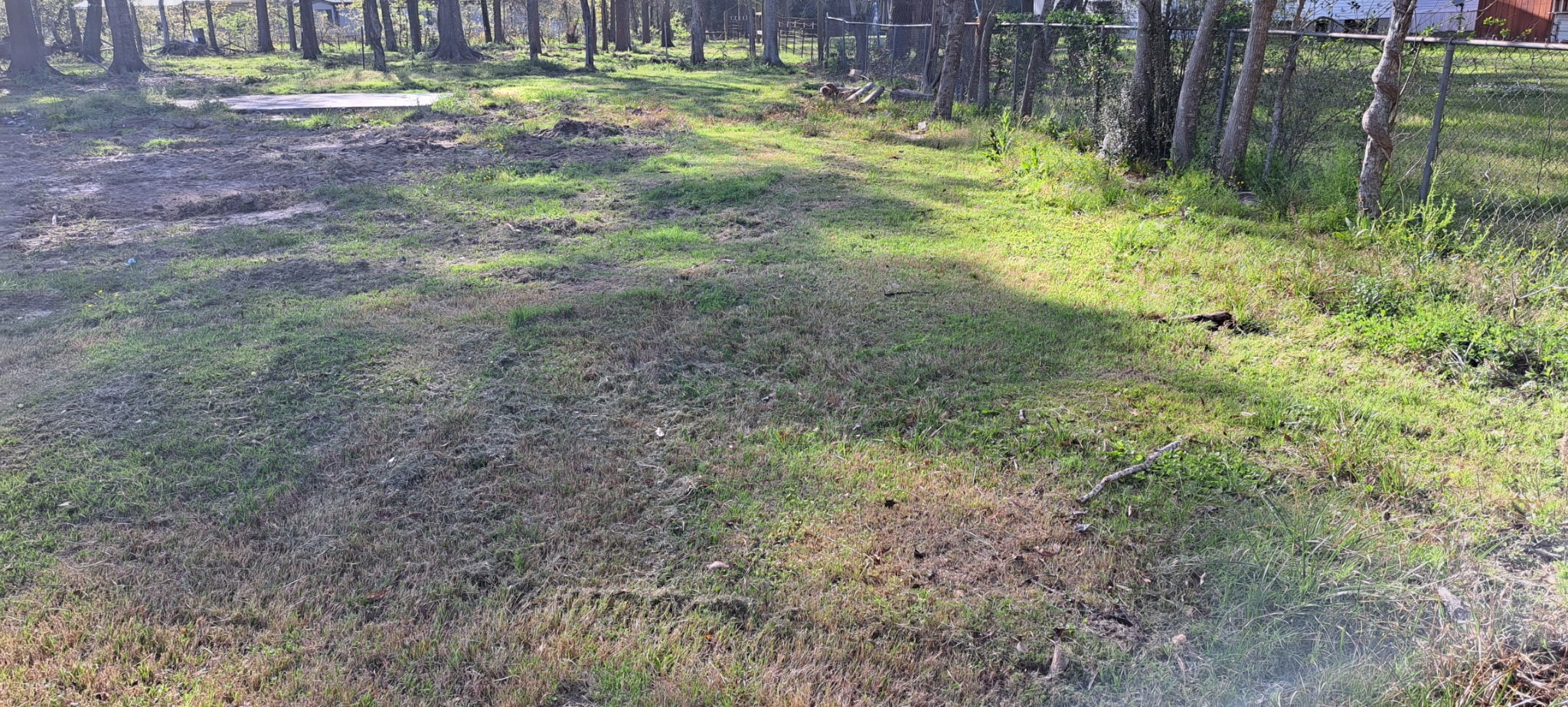 20006 Red Oaks South Property Photo 4