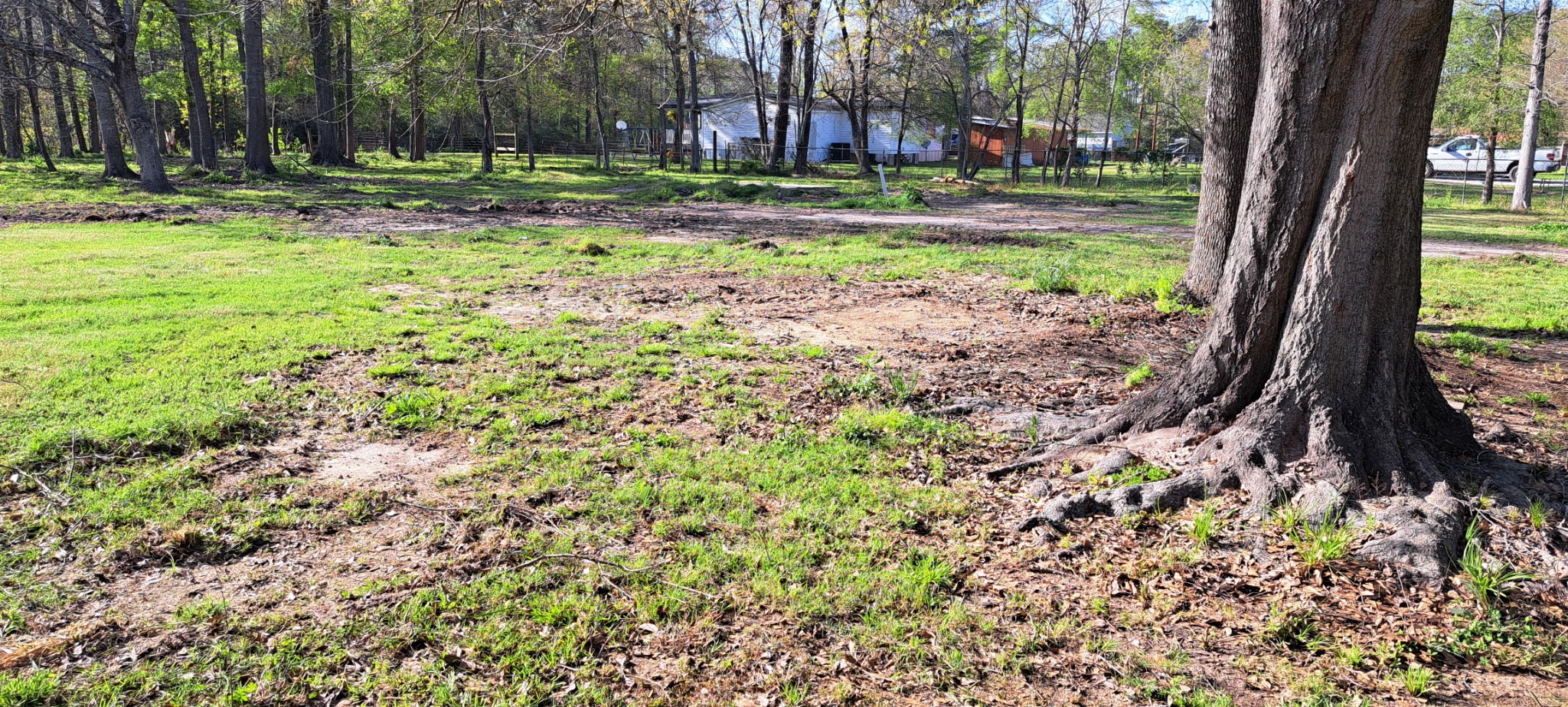 20006 Red Oaks South Property Photo 6
