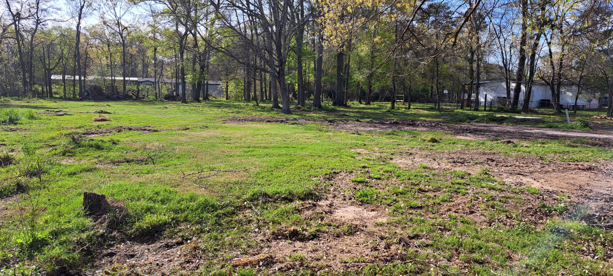 20006 Red Oaks South Property Photo 7