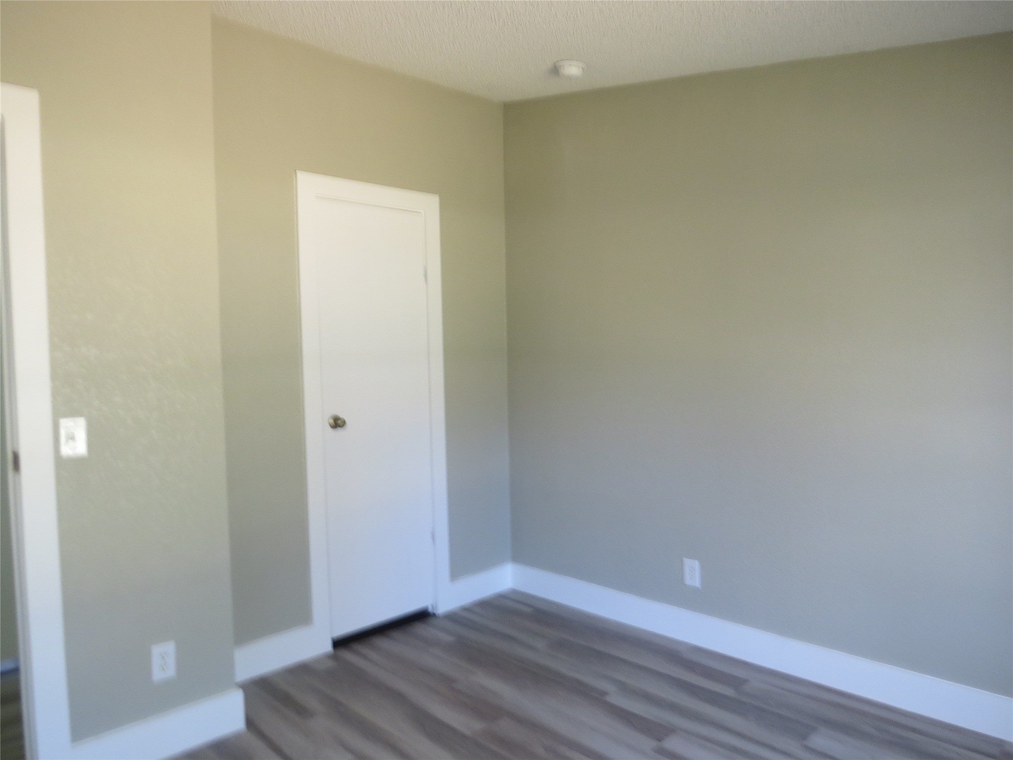 31519 Brady Street Property Photo 25