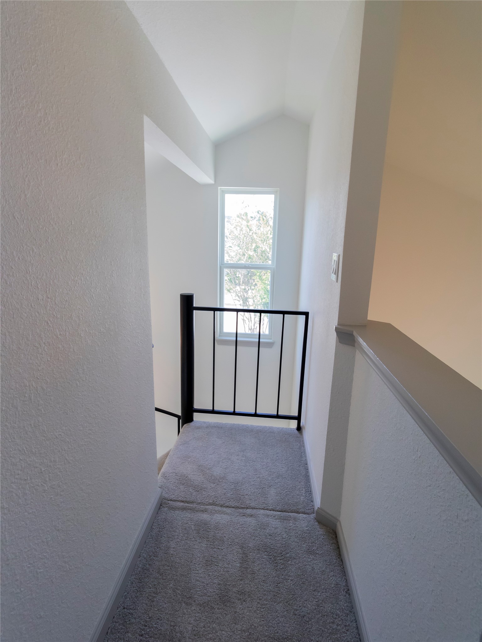 11042 Petworth Drive Property Photo 29