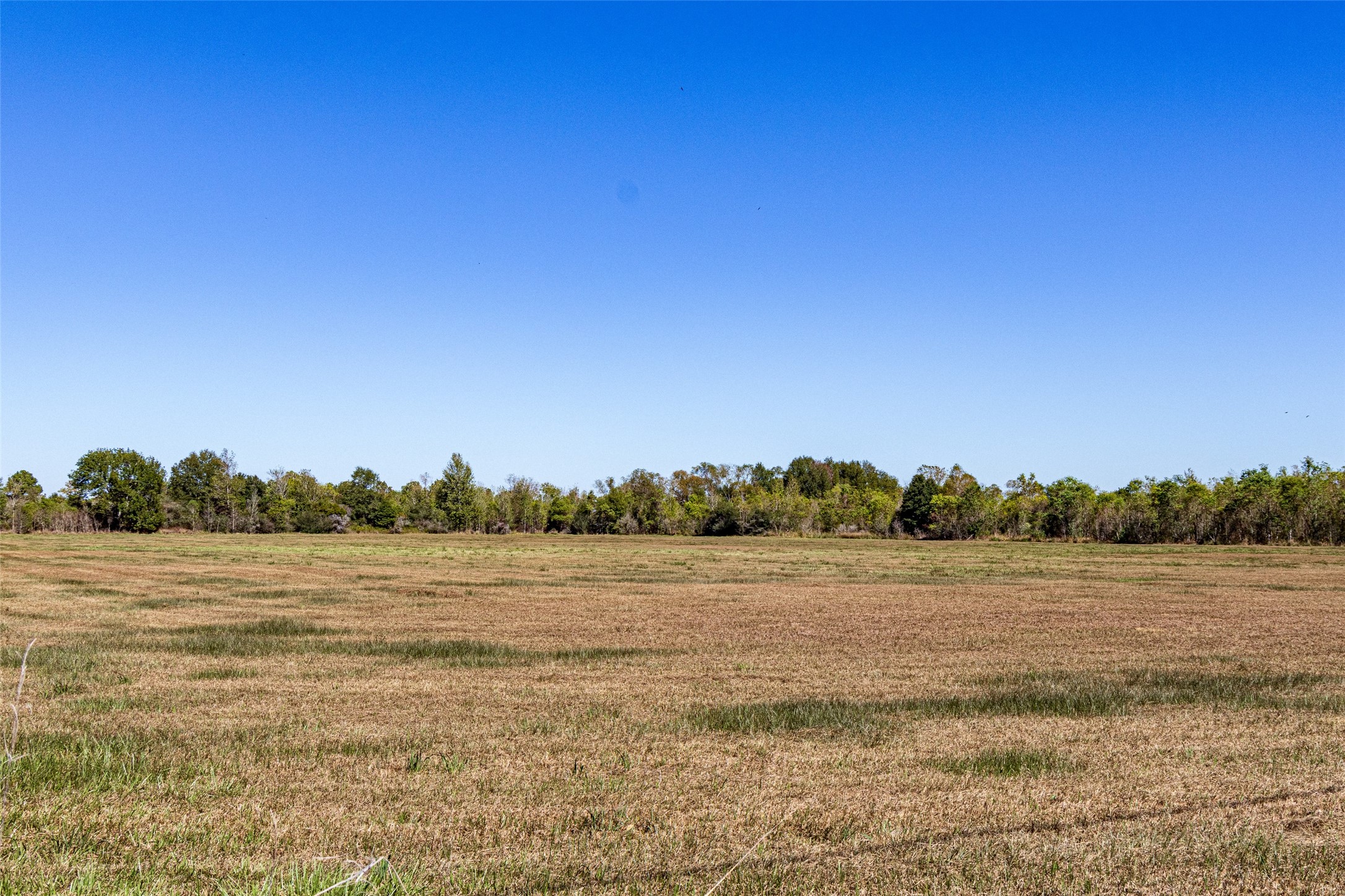 Tbd Gentry Road Property Photo 3