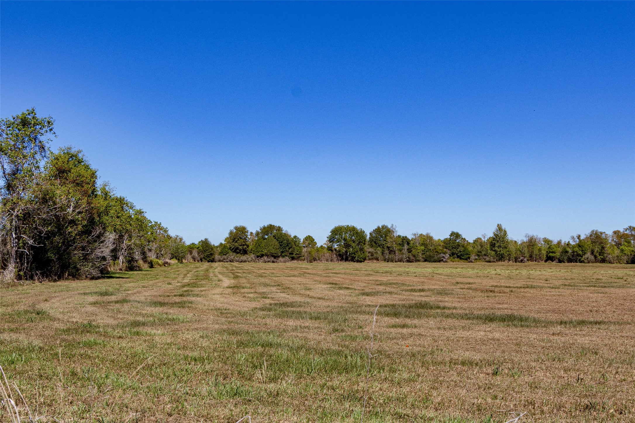 Tbd Gentry Road Property Photo 4
