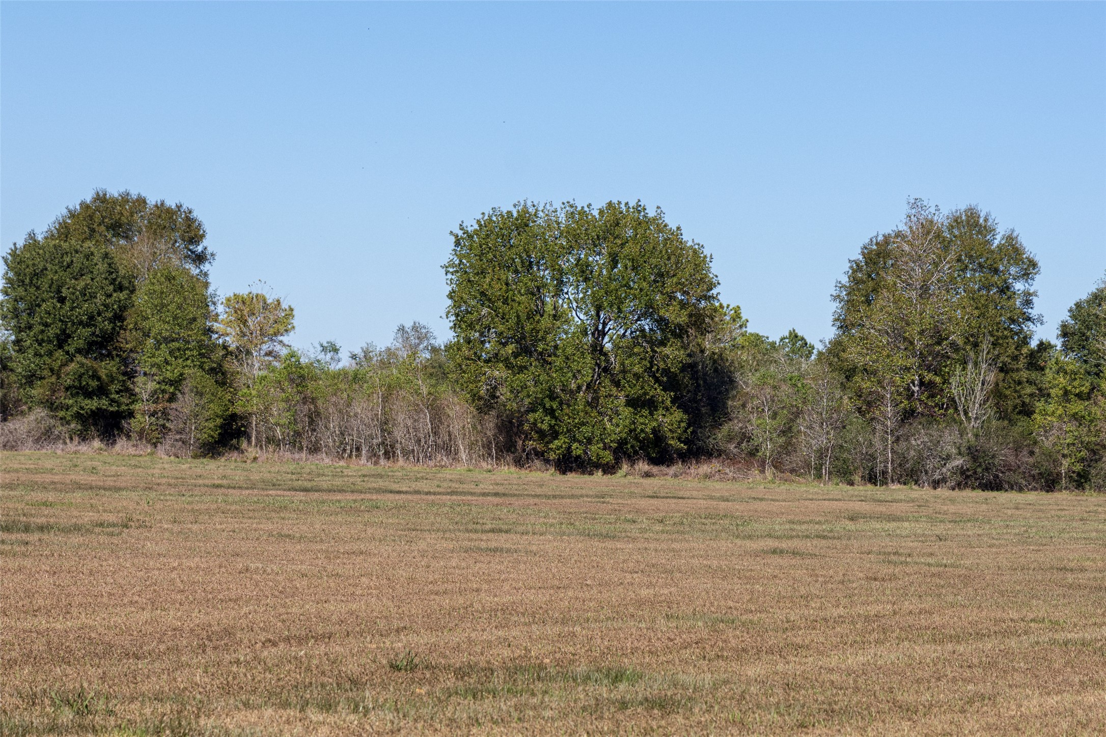 Tbd Gentry Road Property Photo 6