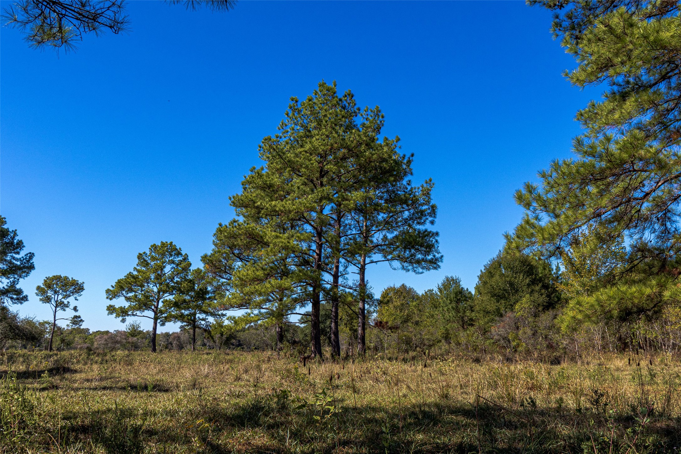 Tbd Gentry Road Property Photo 9