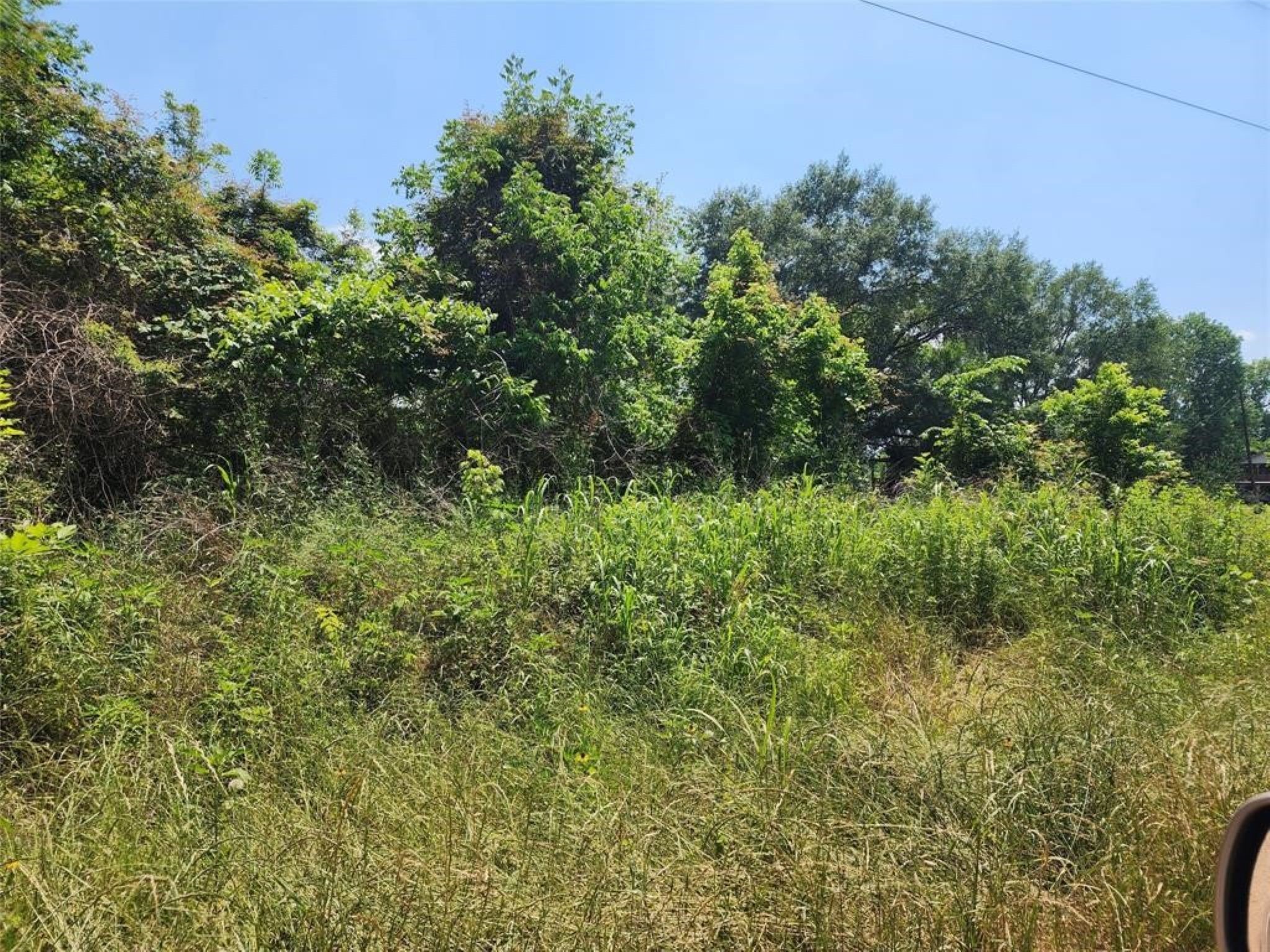 Tbd Holt Street Property Photo 5