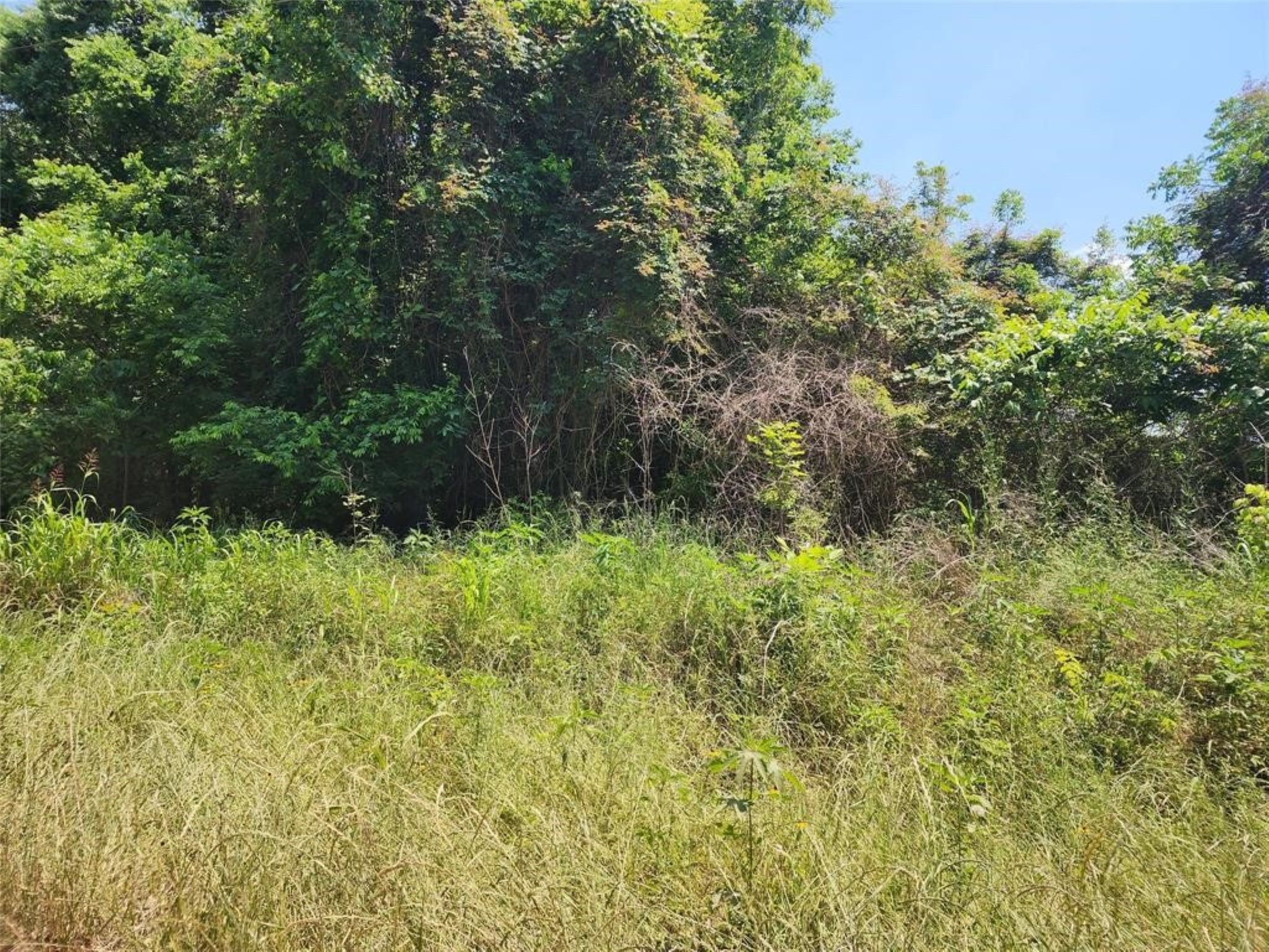 Tbd Holt Street Property Photo 6