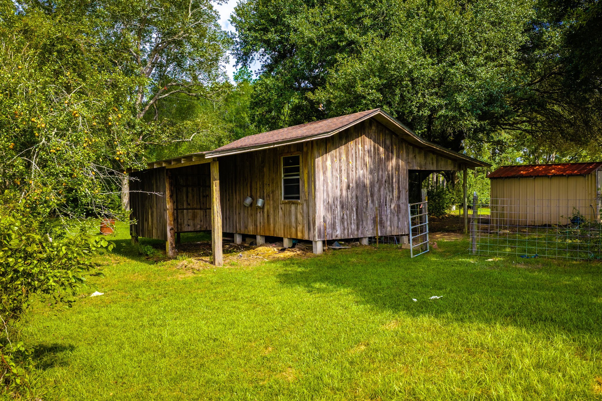 264 David Hon Road Property Photo 25