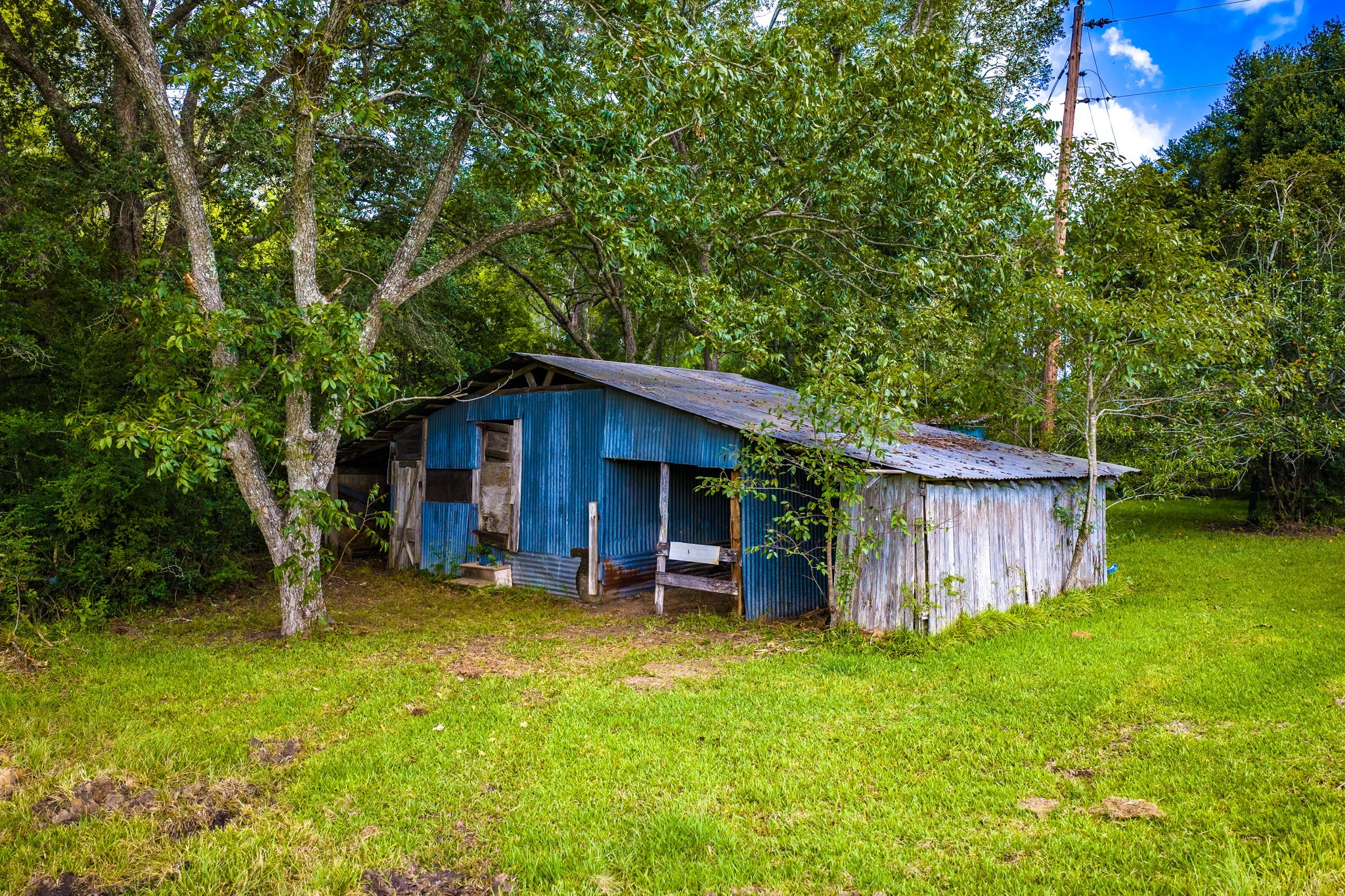 264 David Hon Road Property Photo 27