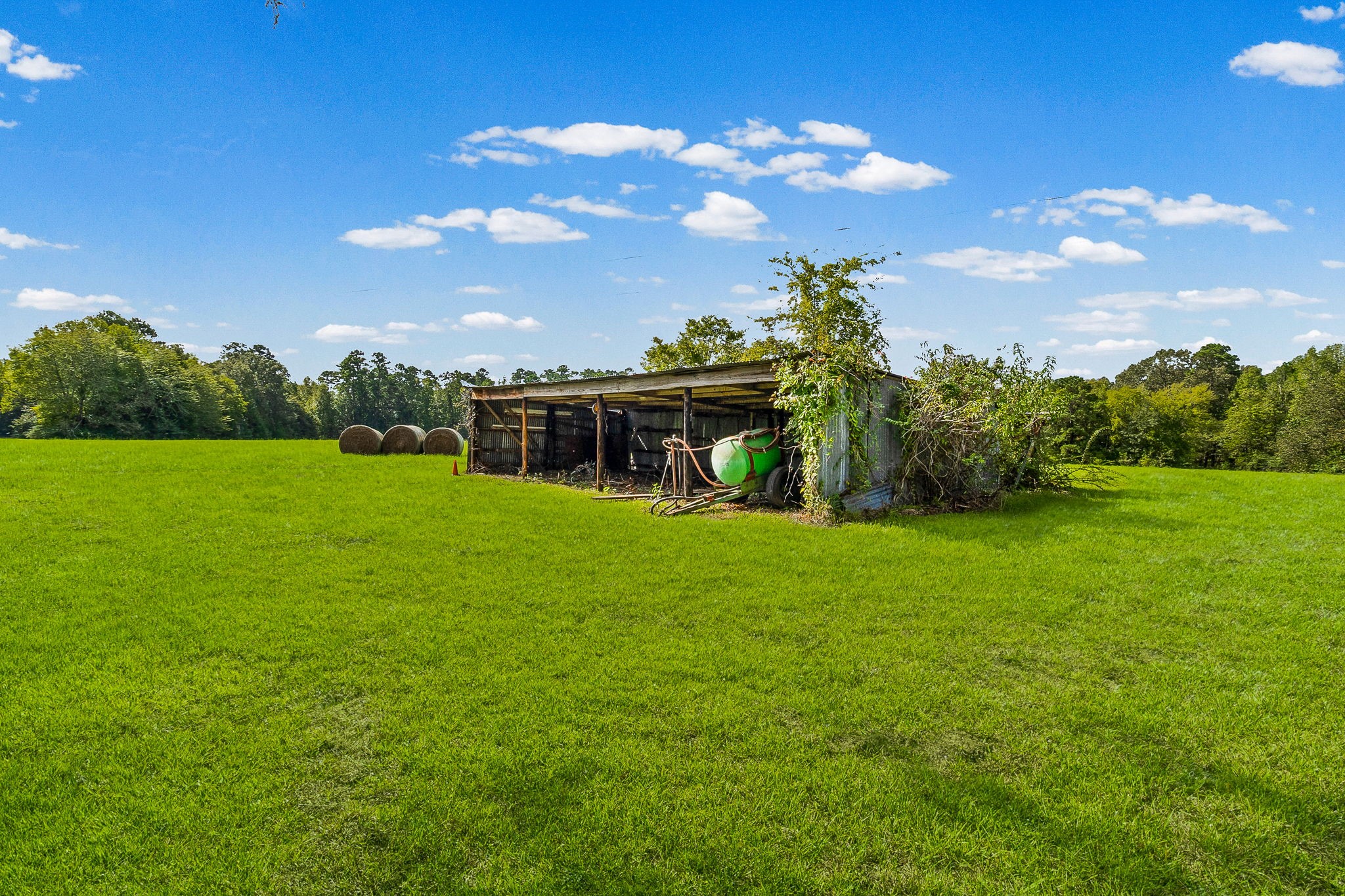 264 David Hon Road Property Photo 28