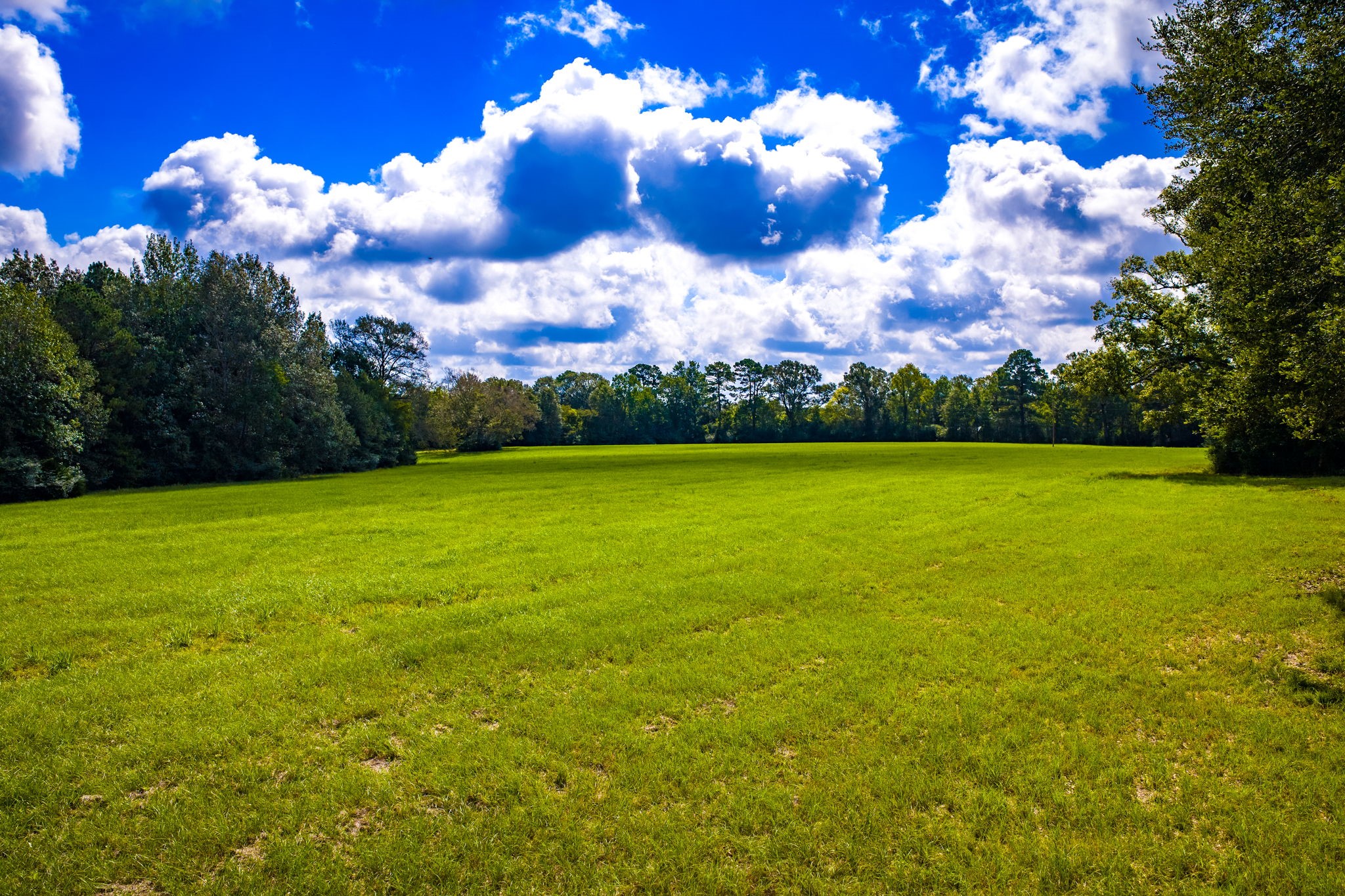 264 David Hon Road Property Photo 47