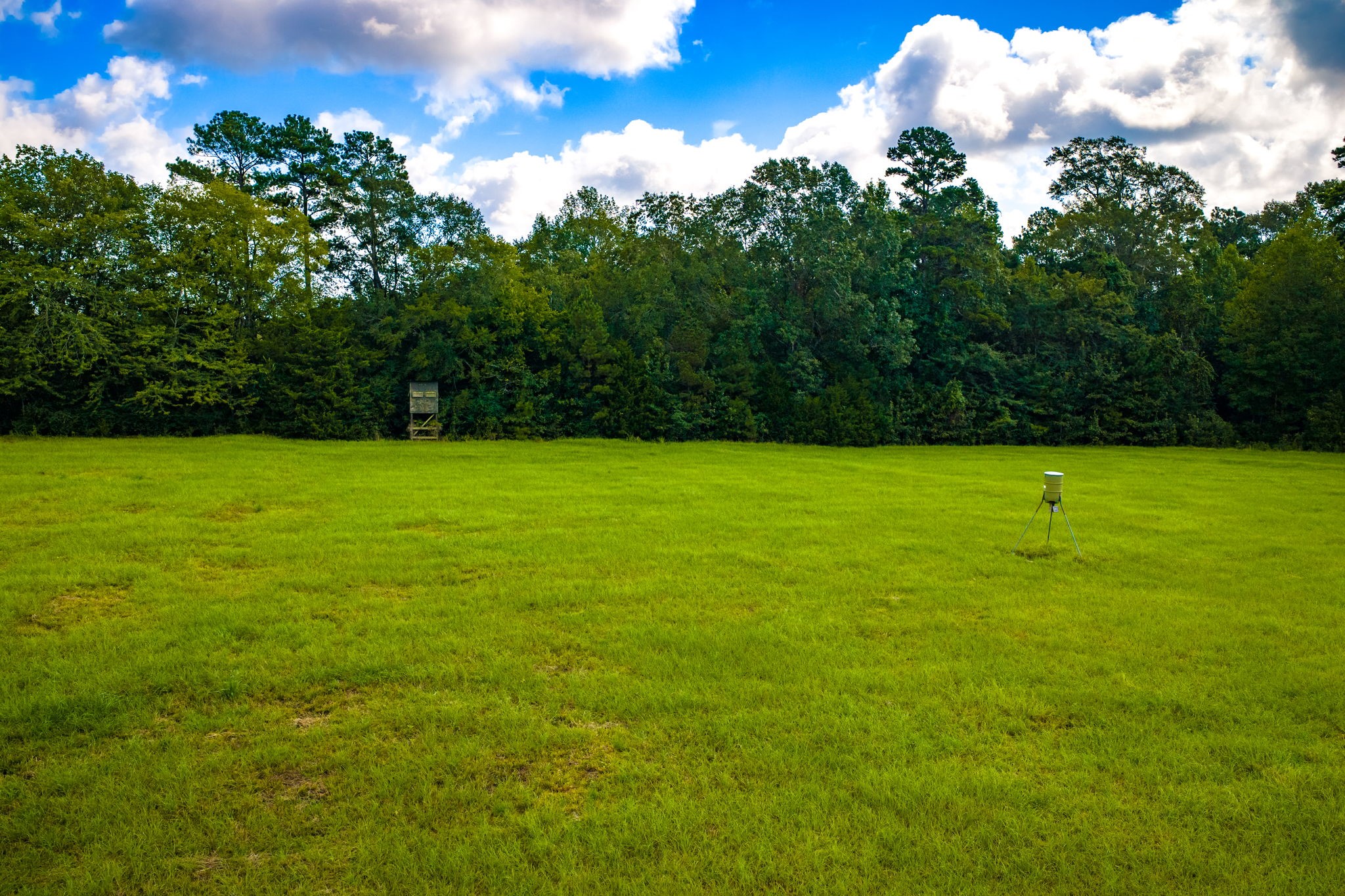 264 David Hon Road Property Photo 48
